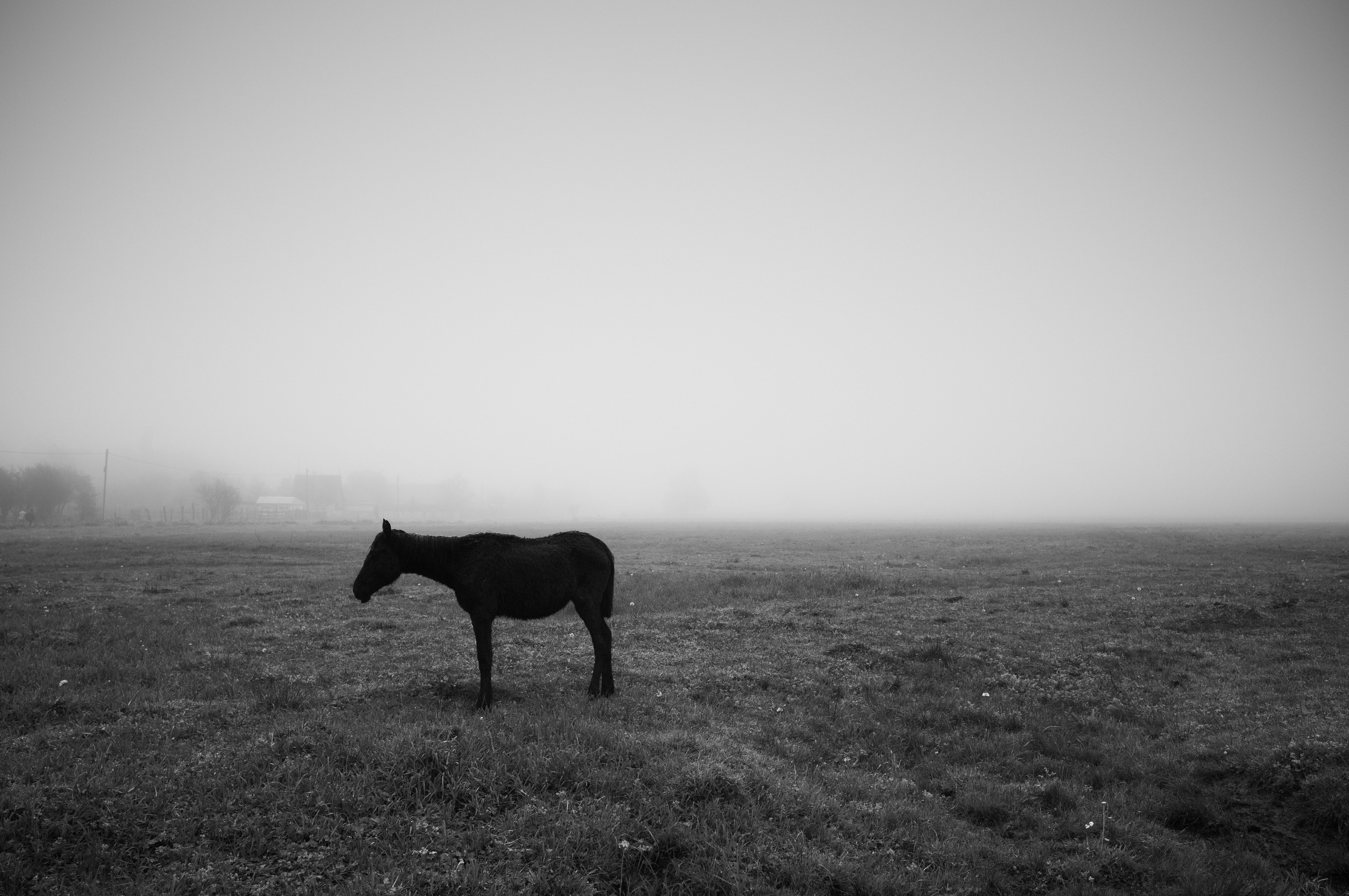 Особый взгляд на людей. Сергей Гаврилов, фотограф