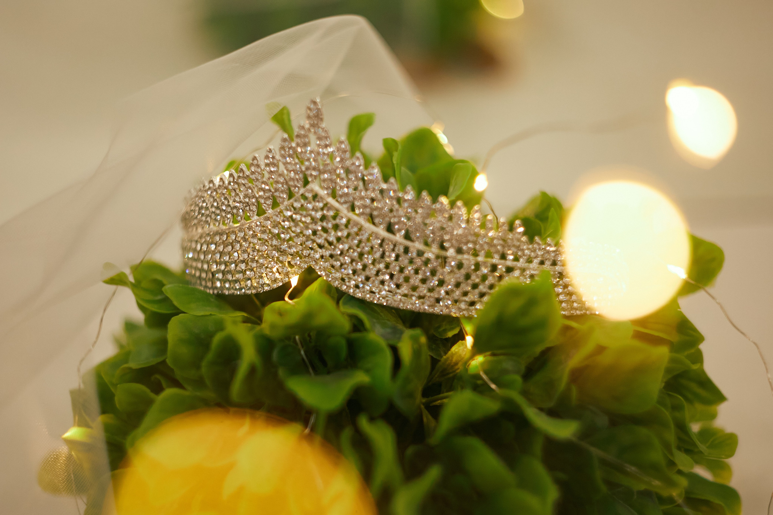 Никита и Ирина. Свадебный и креативный фотограф в ЮФО и МСК