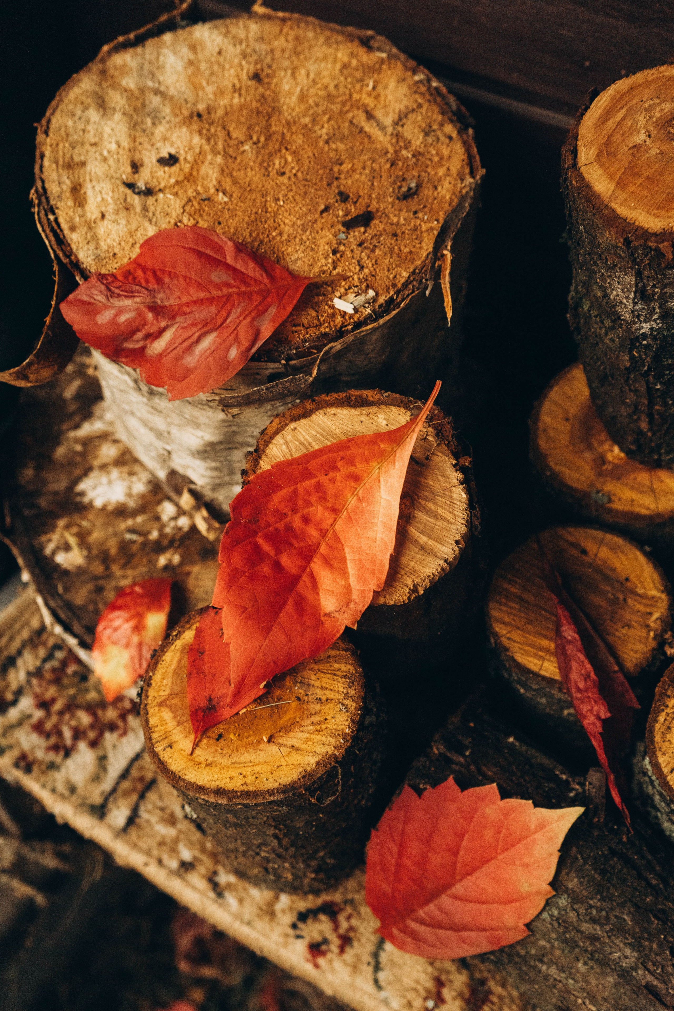 Съемка студии «Аж уютно». Фотограф Москва Валерия Веденина