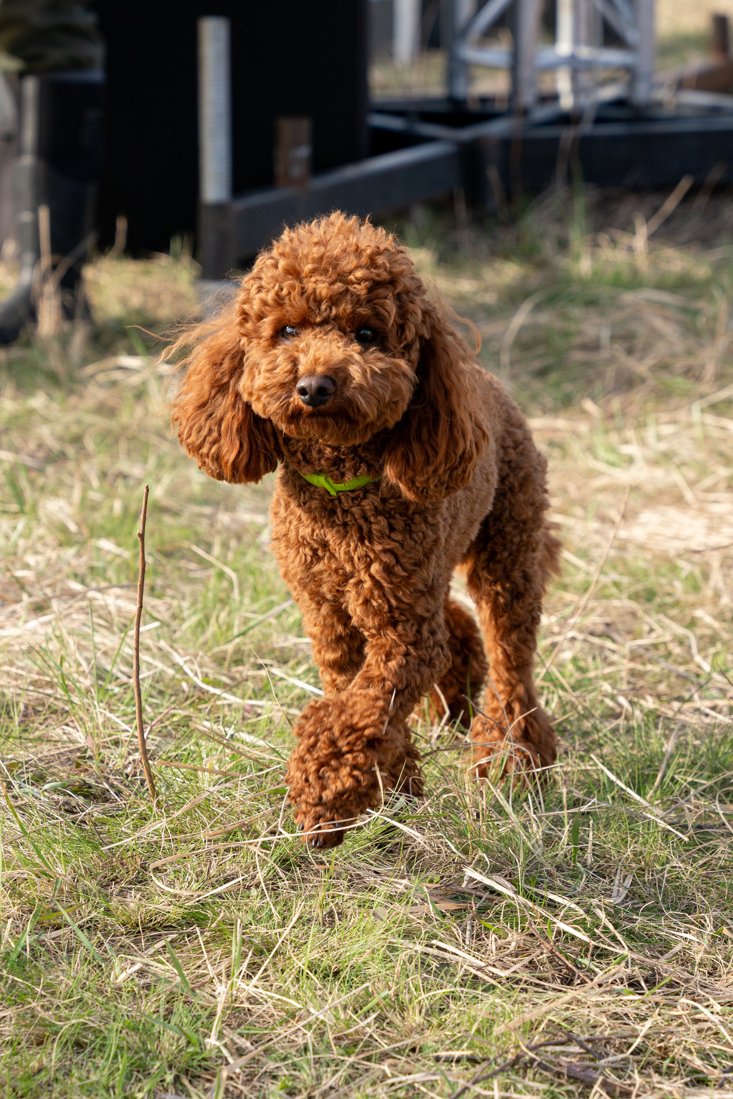 ГРУЗОВОЙ ТРИАЛ 2026. Фотограф на любое мероприятие