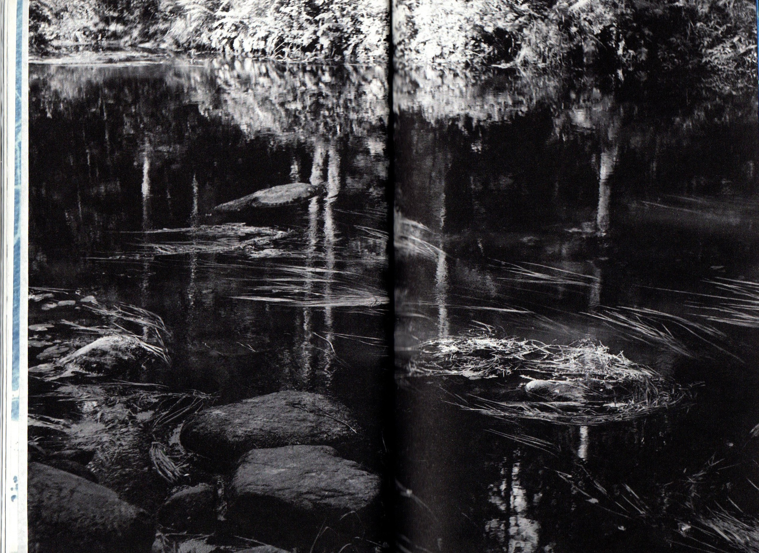 Любители ягодных пирогов. Фотограф Анна Кирнос