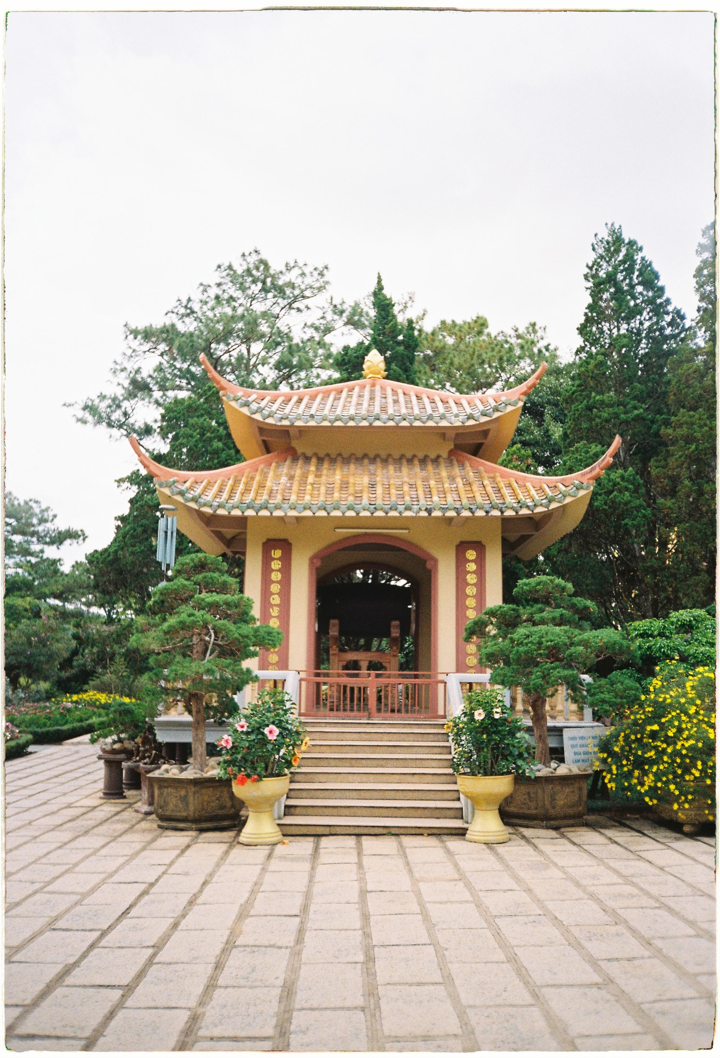 Dalat 2024. Film Photographer in Da Nang, Vietnam — Tanya Parfenteva