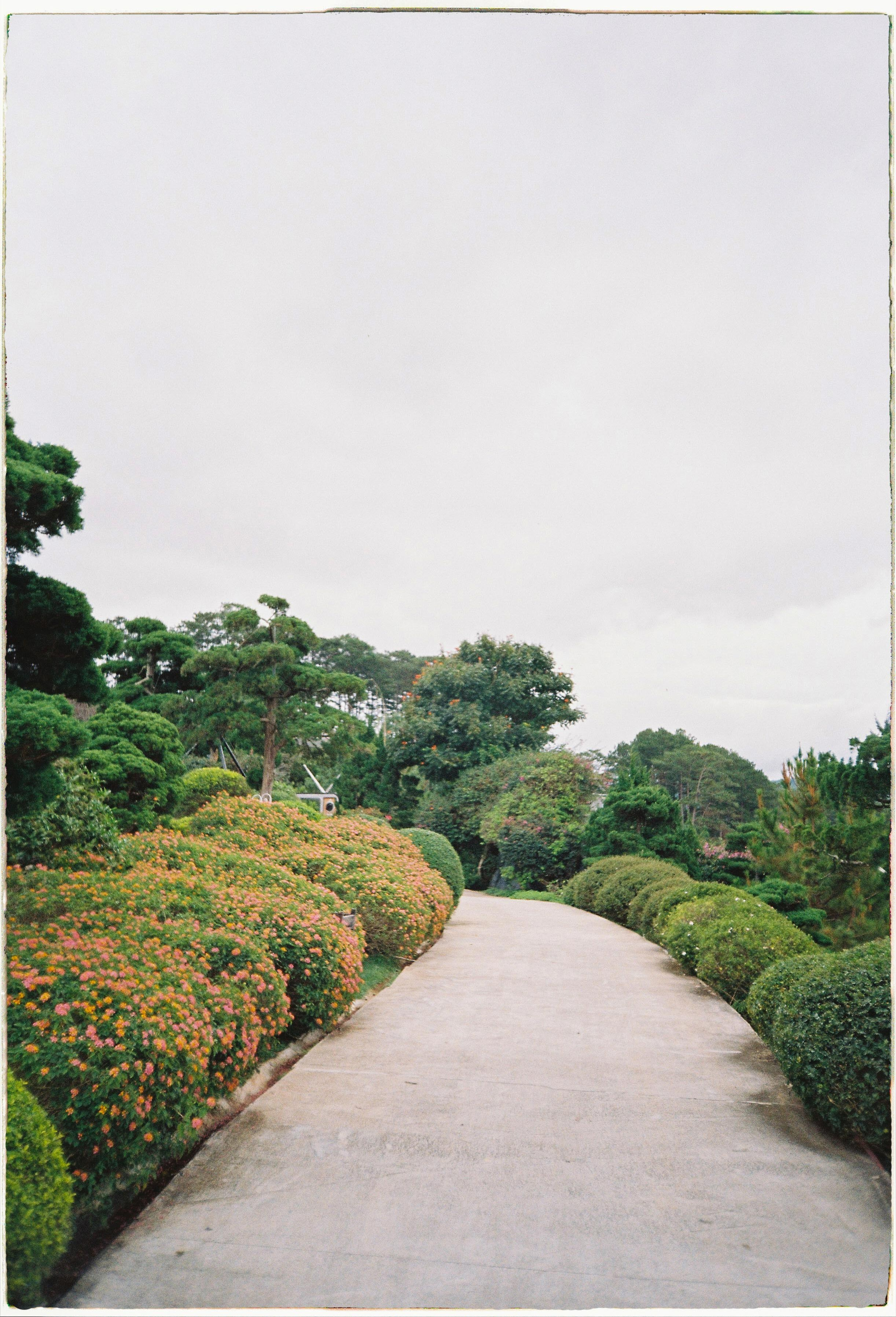 Que garden. Film Photographer in Da Nang, Vietnam — Tanya Parfenteva