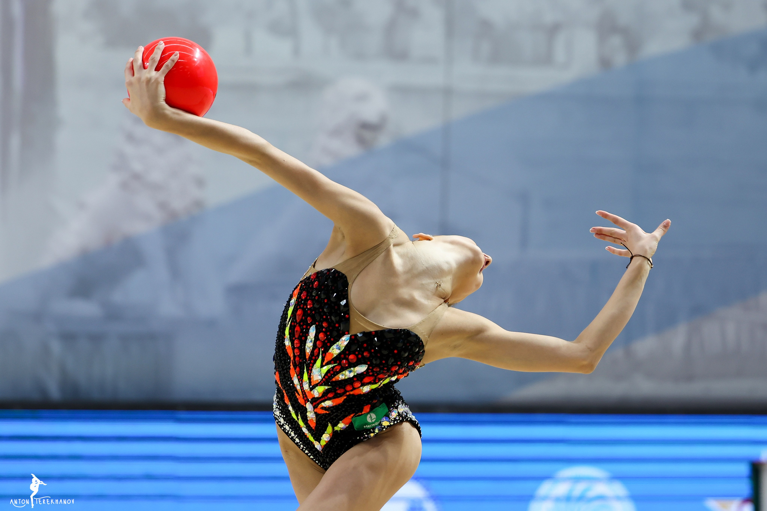 Чемпионат Санкт-Петербурга 2024. Спортивный и репортажный фотограф Антон Тереханов