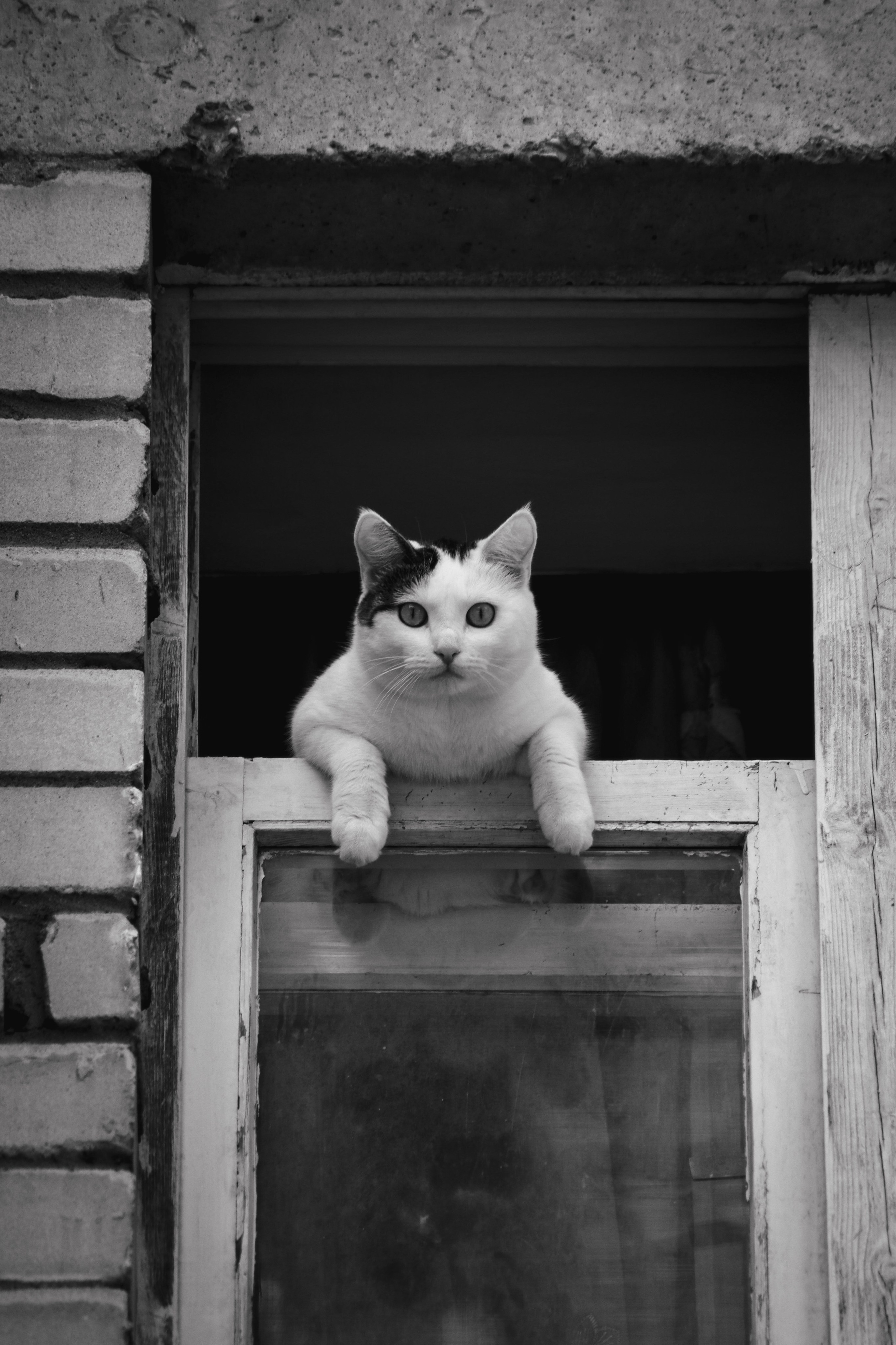 Ч \ Б. — Digital Noise —