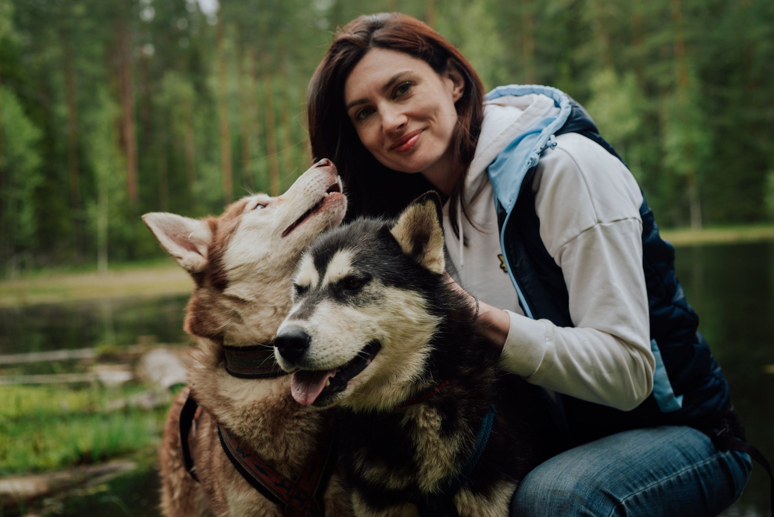 Догтрекинг. Фотограф в Санкт-Петербурге и Ленинградской области