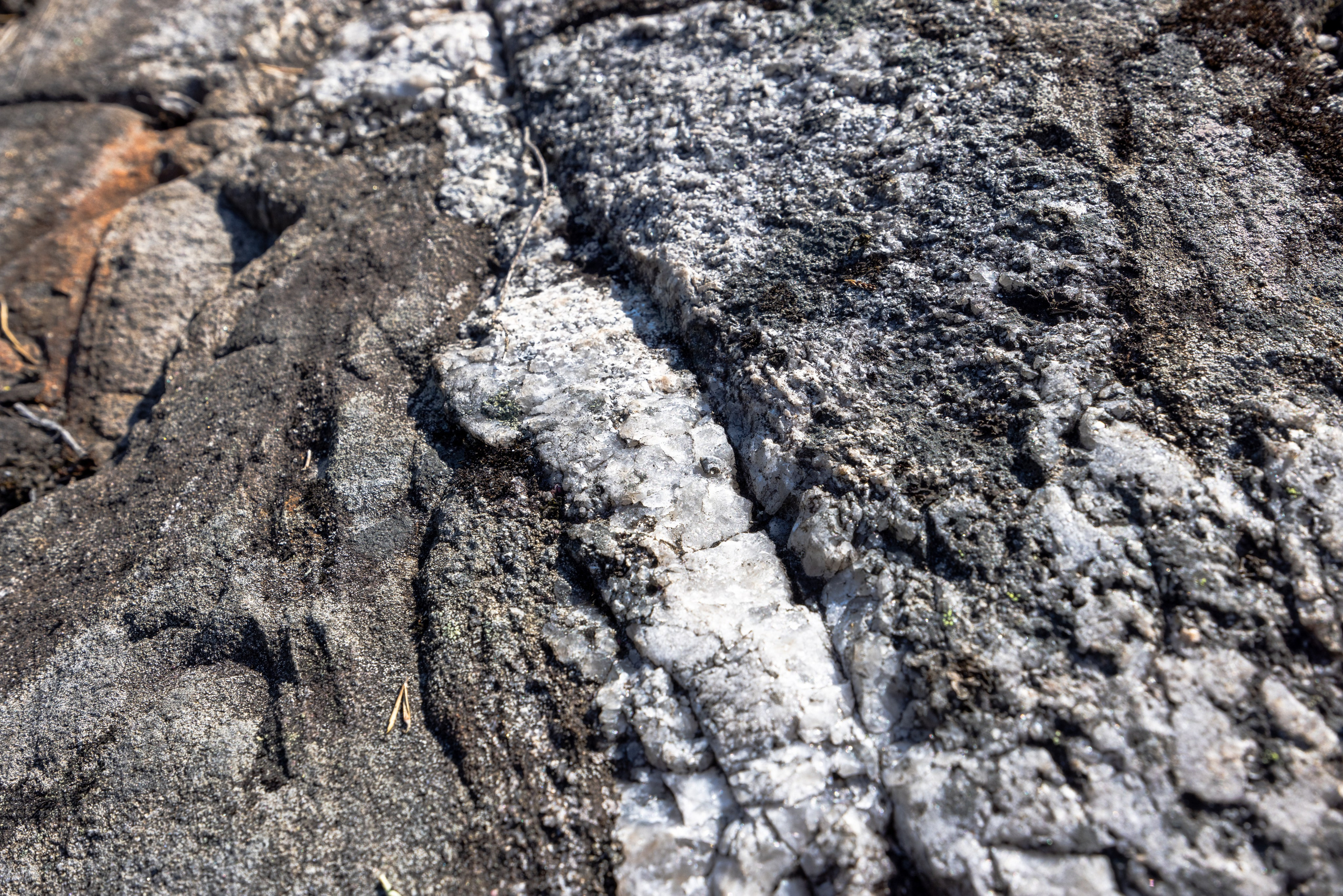 Ладога. Автомобильная фотография в Санкт-Петербурге