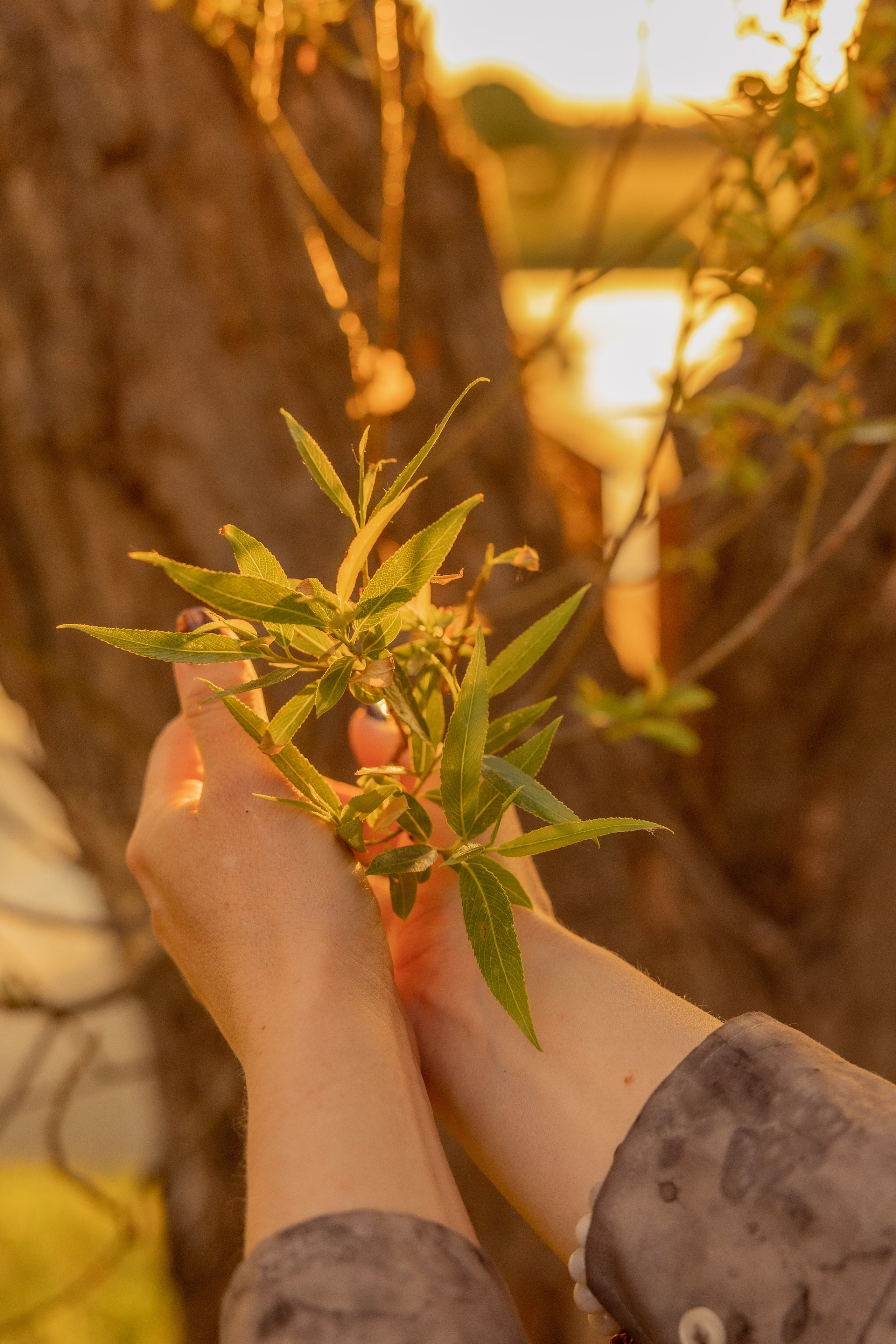 Анна «Настоящая, искренняя». Дарья Бухреева — фотограф, видеограф и фототерапевт. Москва и мир