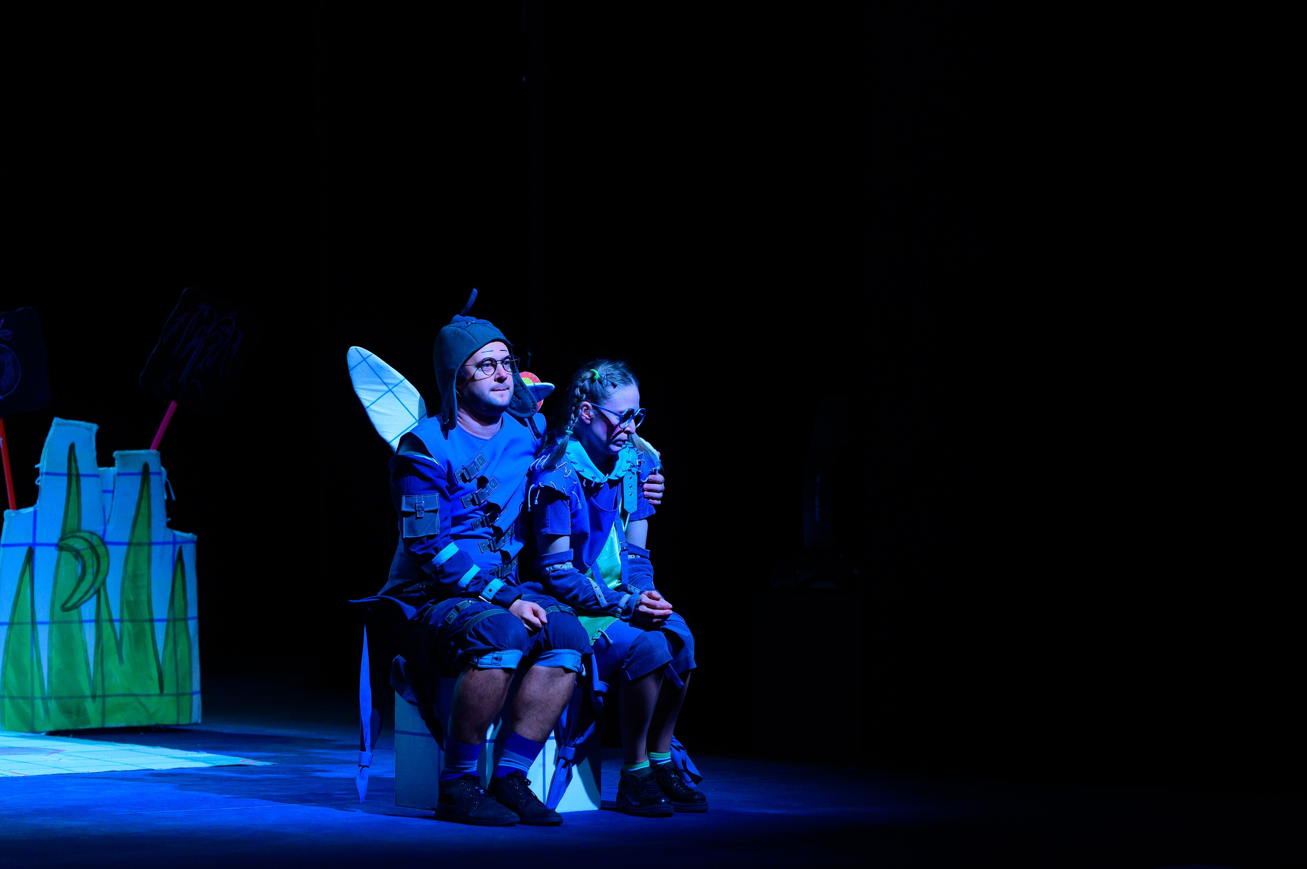 Муха Цокотуха. Фотоуслуги, услуги фотографа, фотографирование важных событий