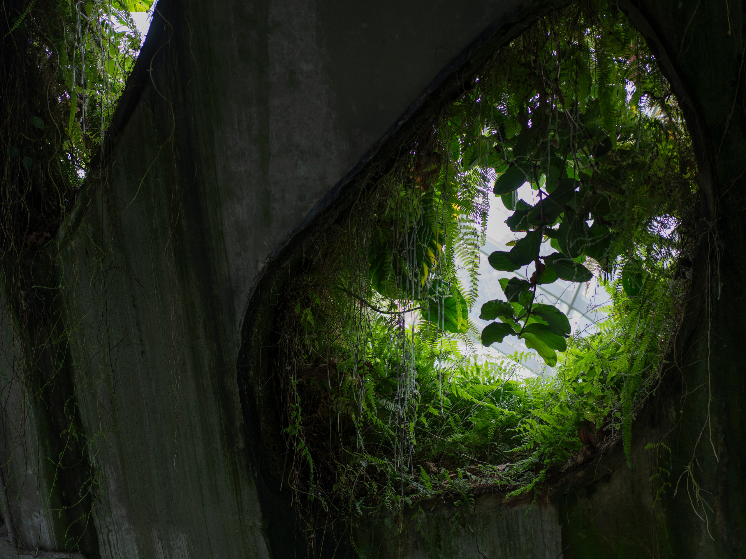Сингапур. Творческий фотограф Ирина Баландина.  Санкт-Петербург, Мурманск