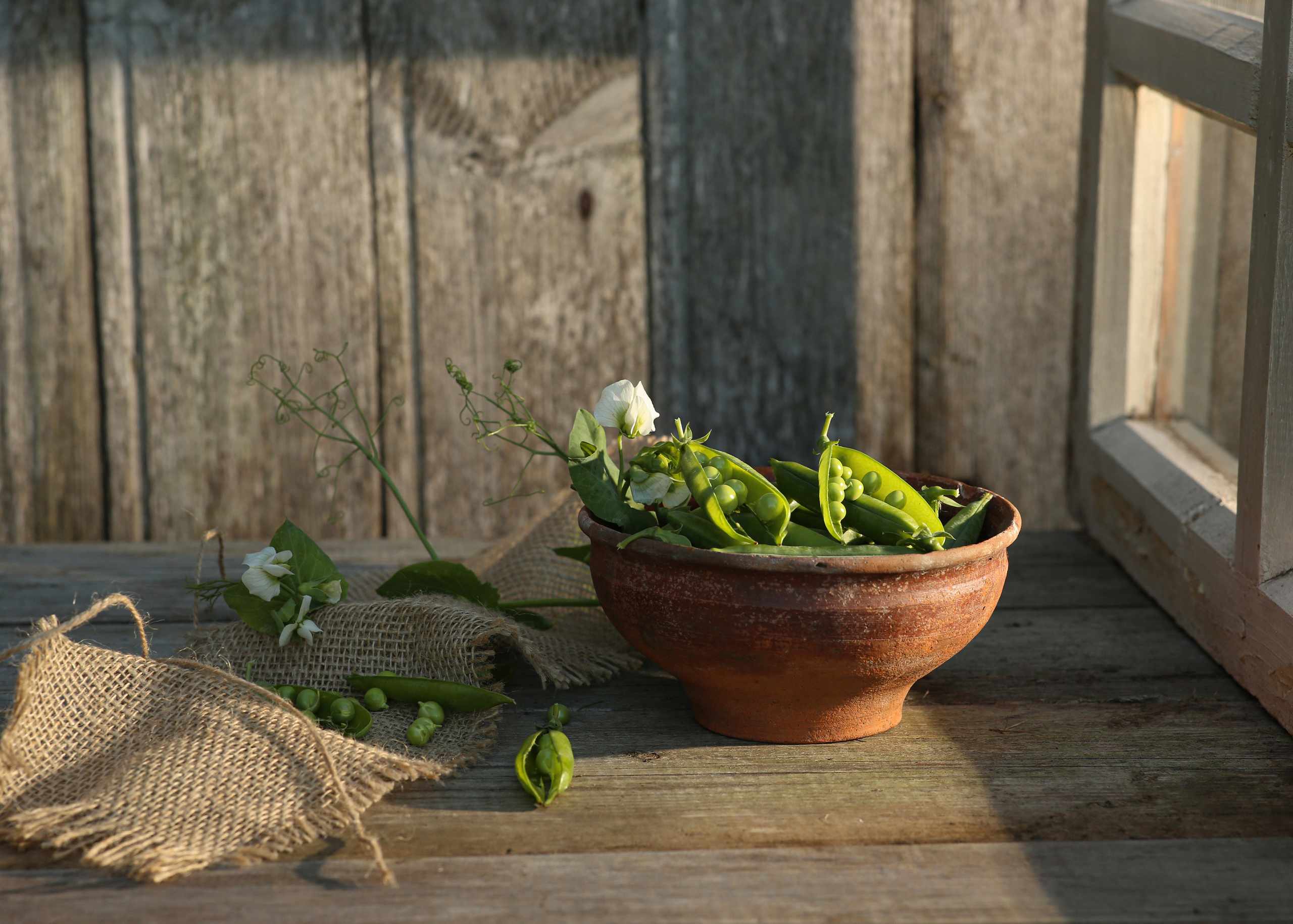 Предметная фотосъемка, съемка для маркетплейсов. Семейный и детский фотограф в Волгограде Нина Колесова