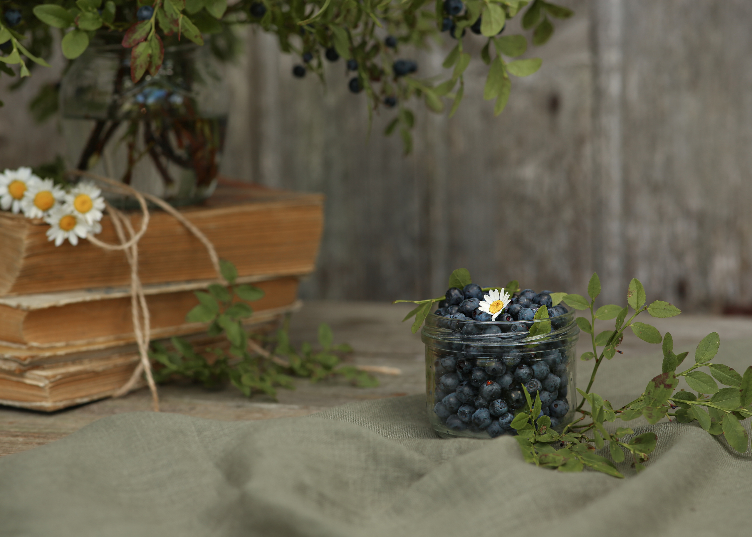 Предметная фотосъемка, съемка для маркетплейсов. Семейный и детский фотограф в Волгограде Нина Колесова