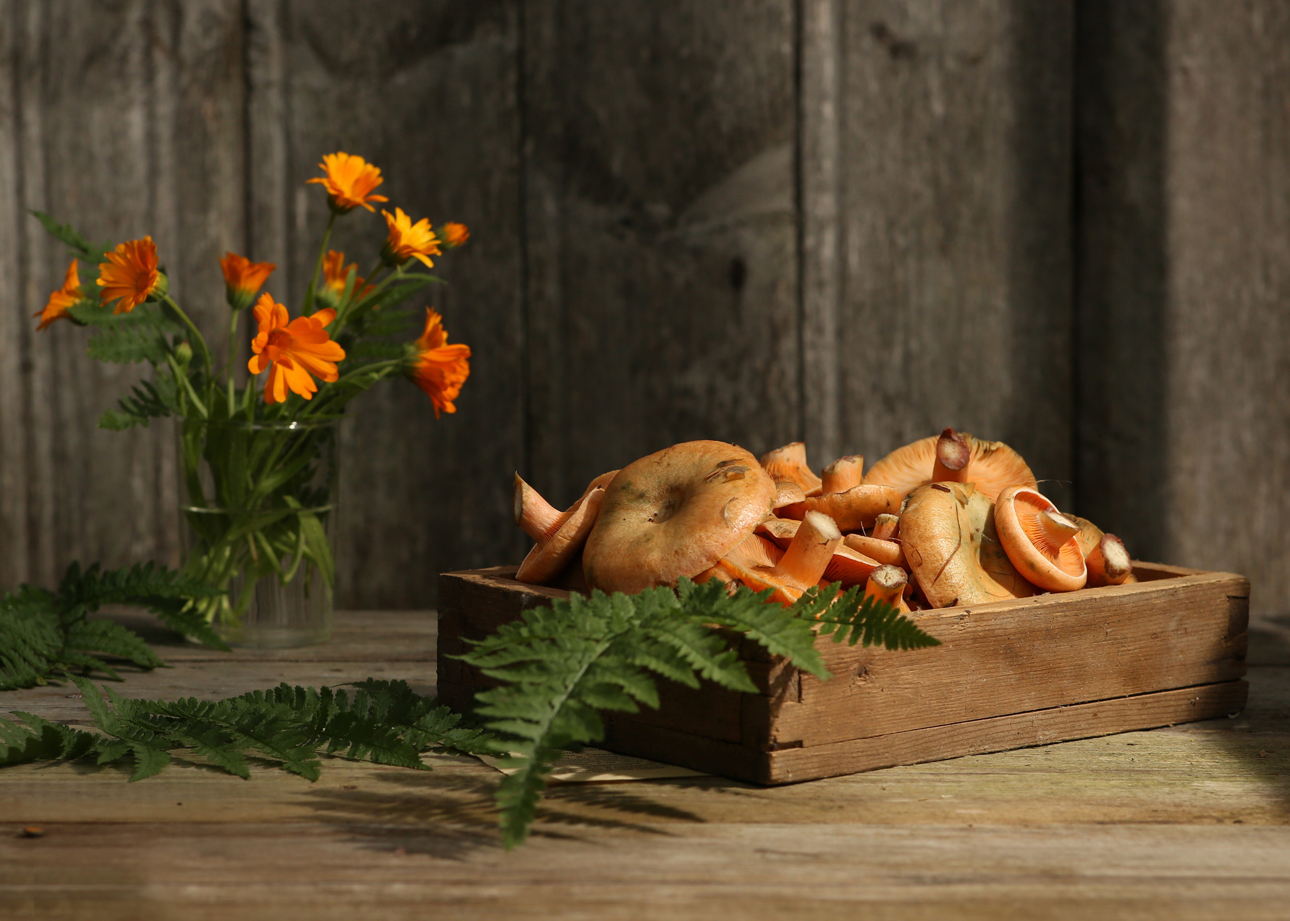 Предметная фотосъемка, съемка для маркетплейсов. Семейный и детский фотограф в Волгограде Нина Колесова