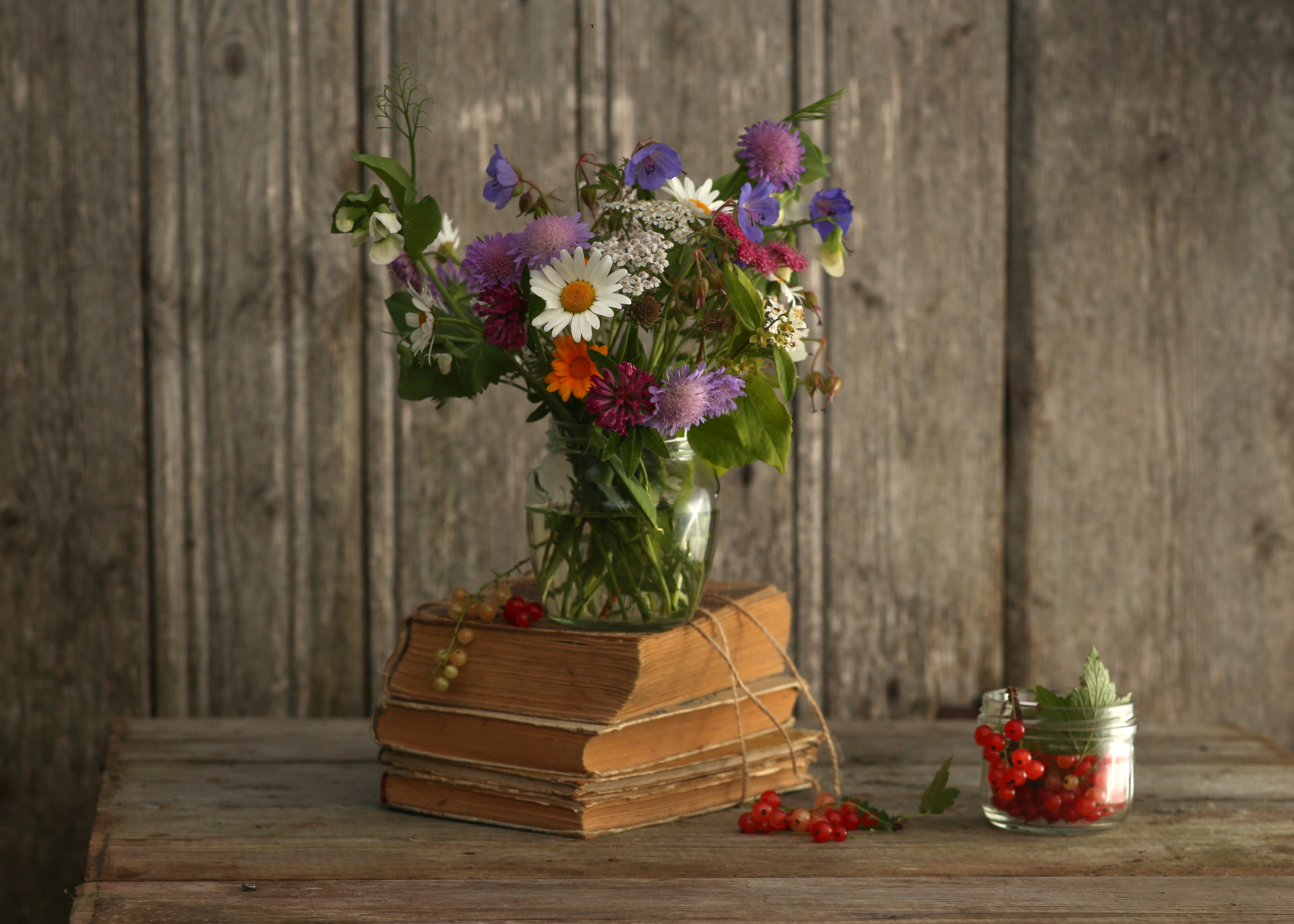 Предметная фотосъемка, съемка для маркетплейсов. Семейный и детский фотограф в Волгограде Нина Колесова