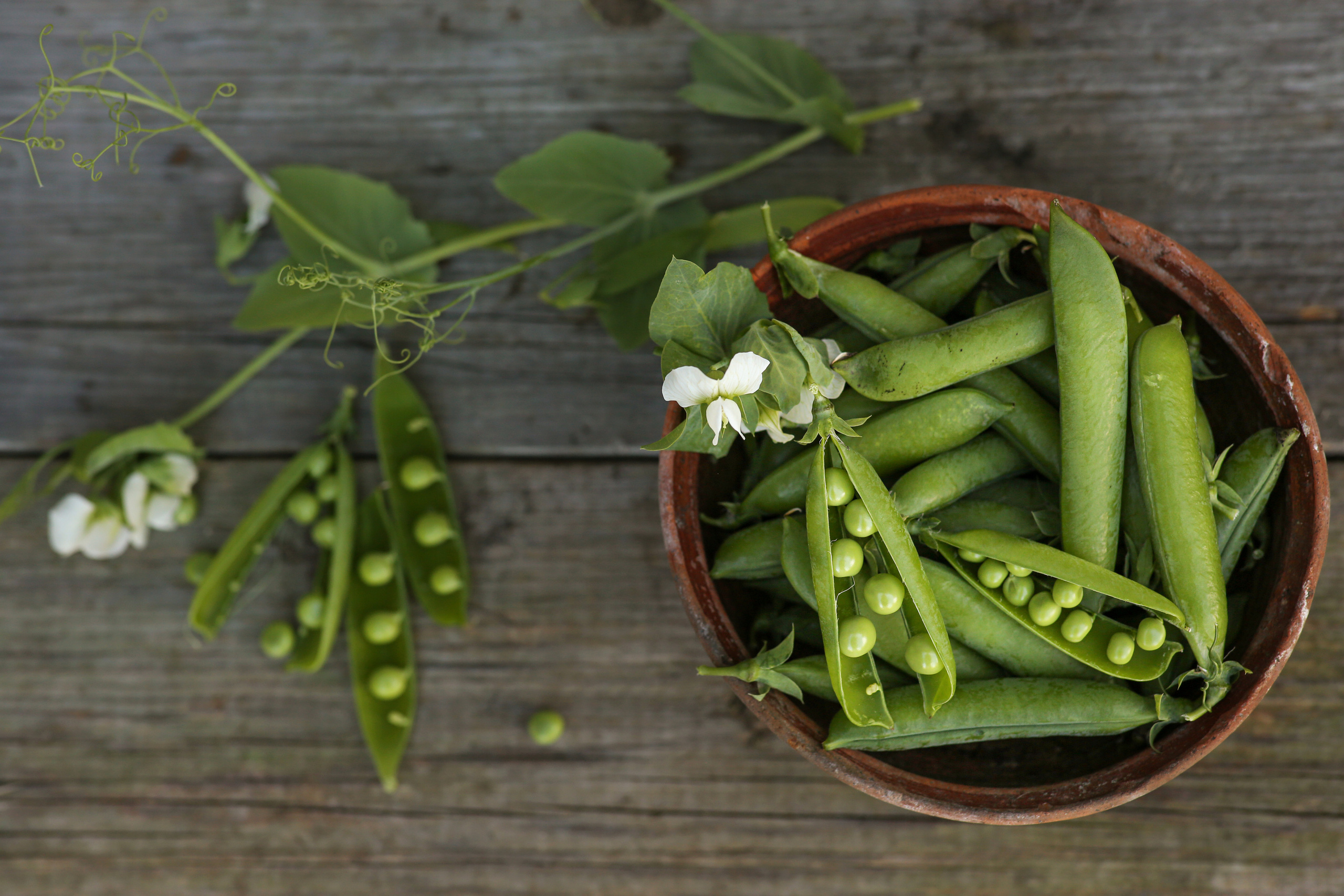 Предметная фотосъемка, съемка для маркетплейсов. Семейный и детский фотограф в Волгограде Нина Колесова
