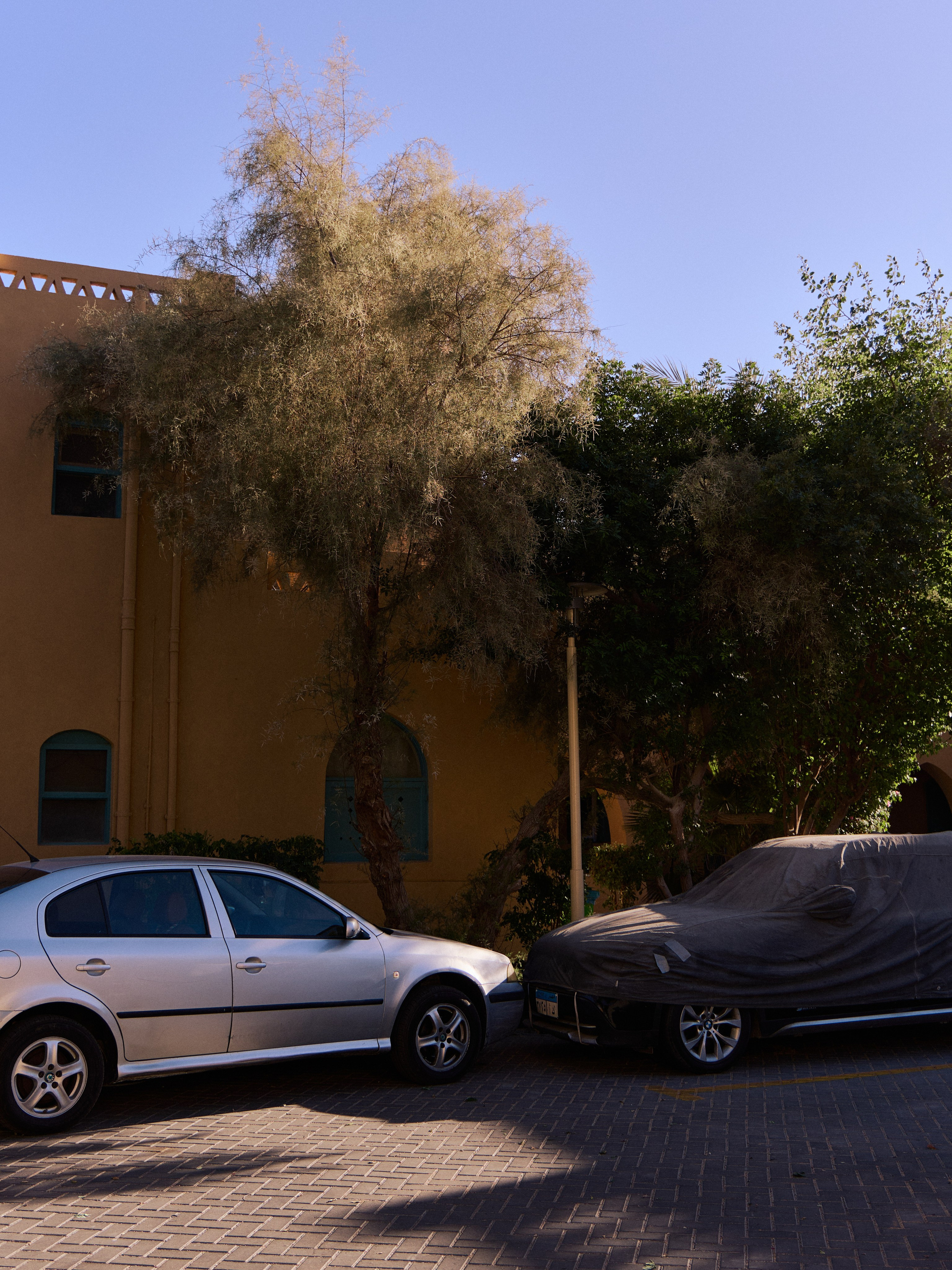 Другое 3. Jorgis — фотограф в Хургаде / обучение фотографии