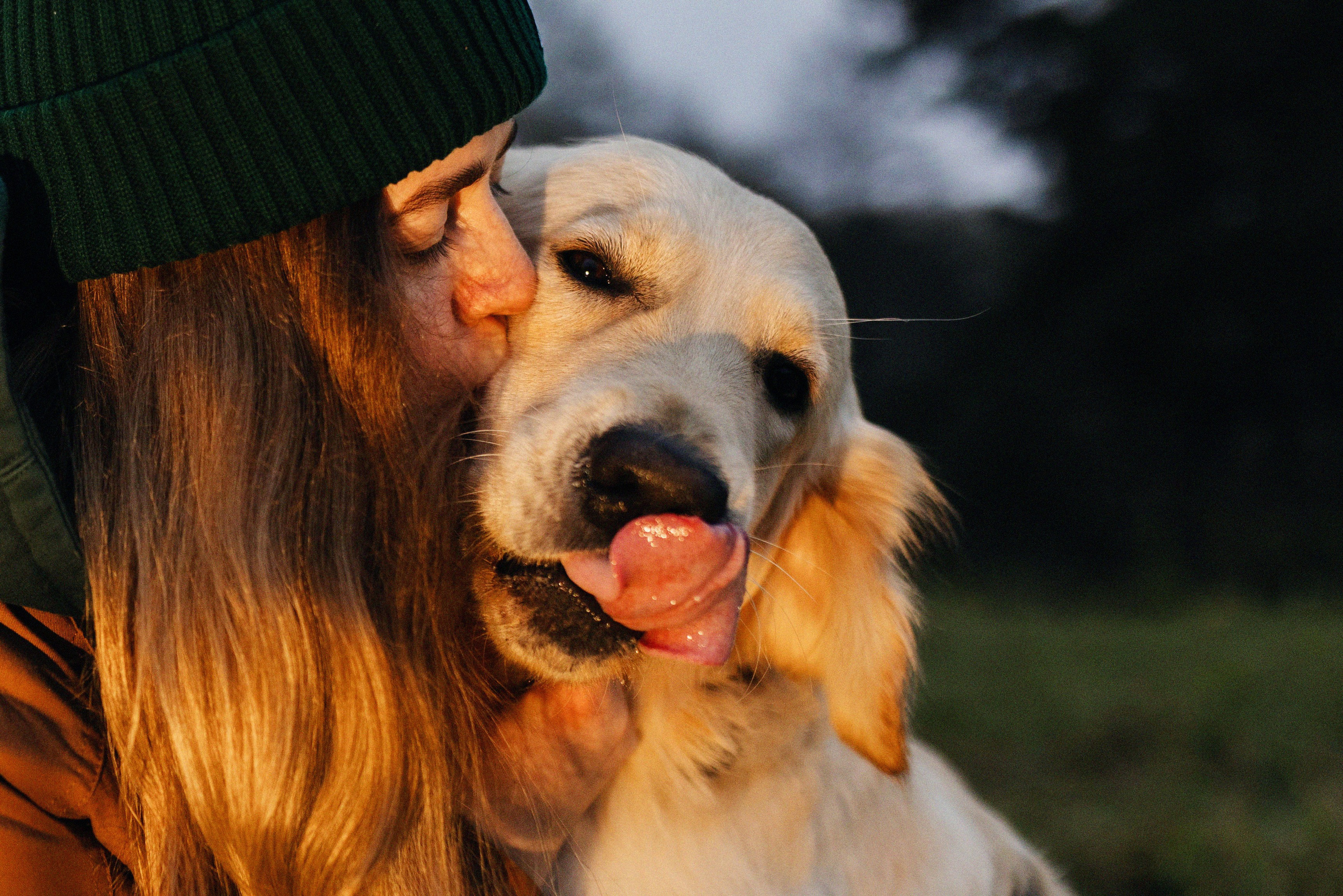 Dogcamp / Полина и Миша. Фотограф Кузина Вера