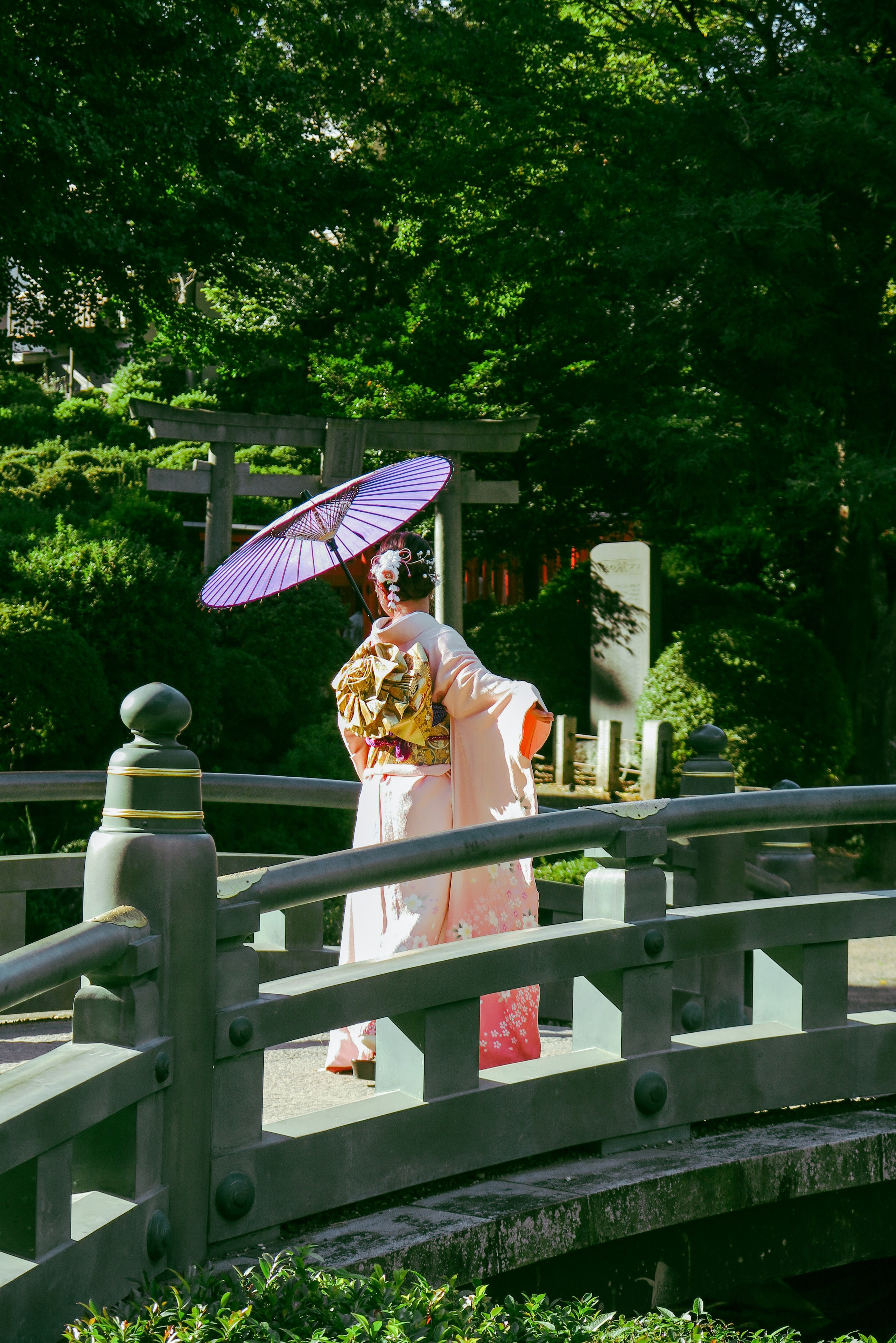 日本. Фотограф Москва