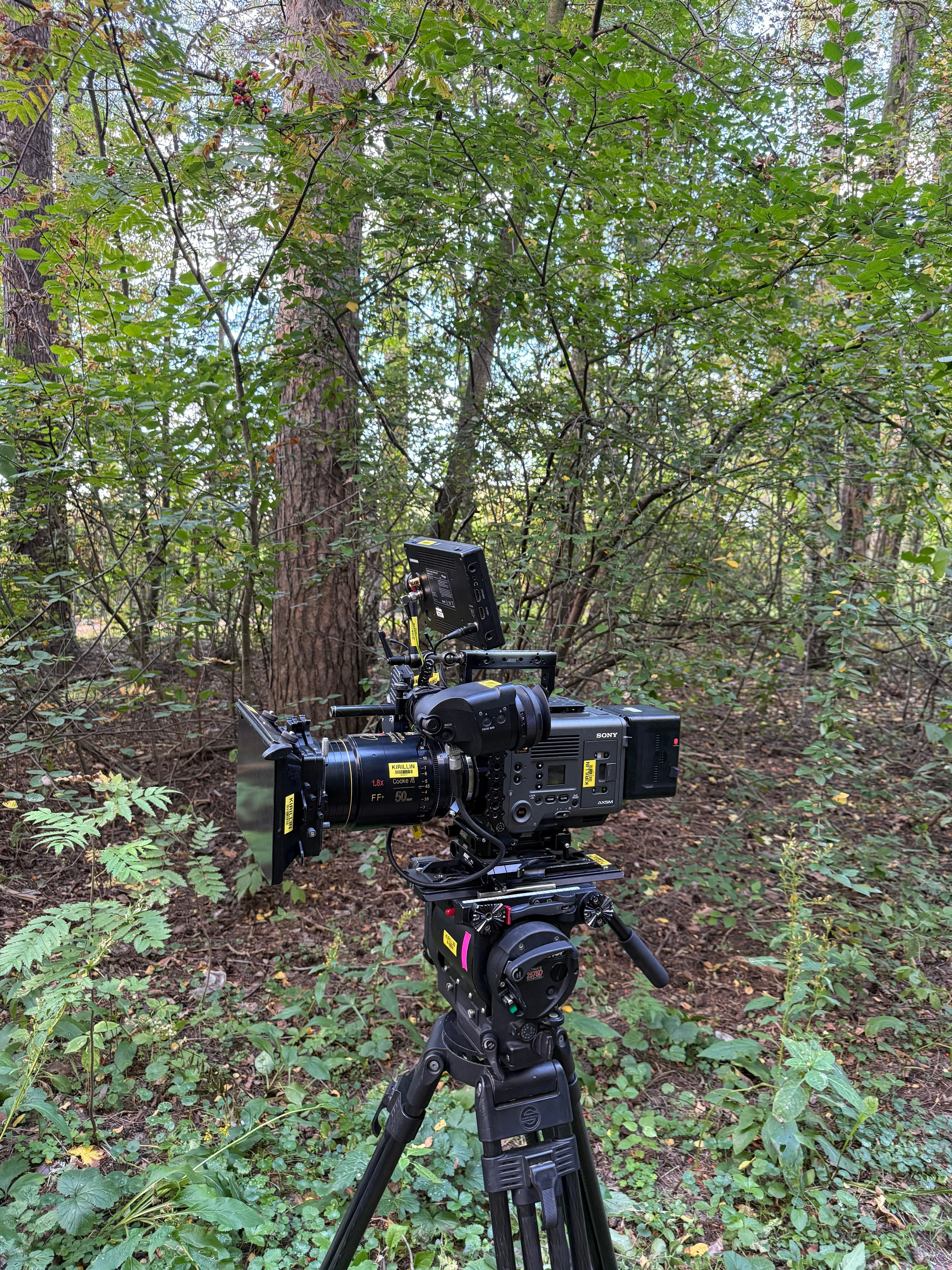 BACKSTAGE GALLERY. «MAK FLAME»