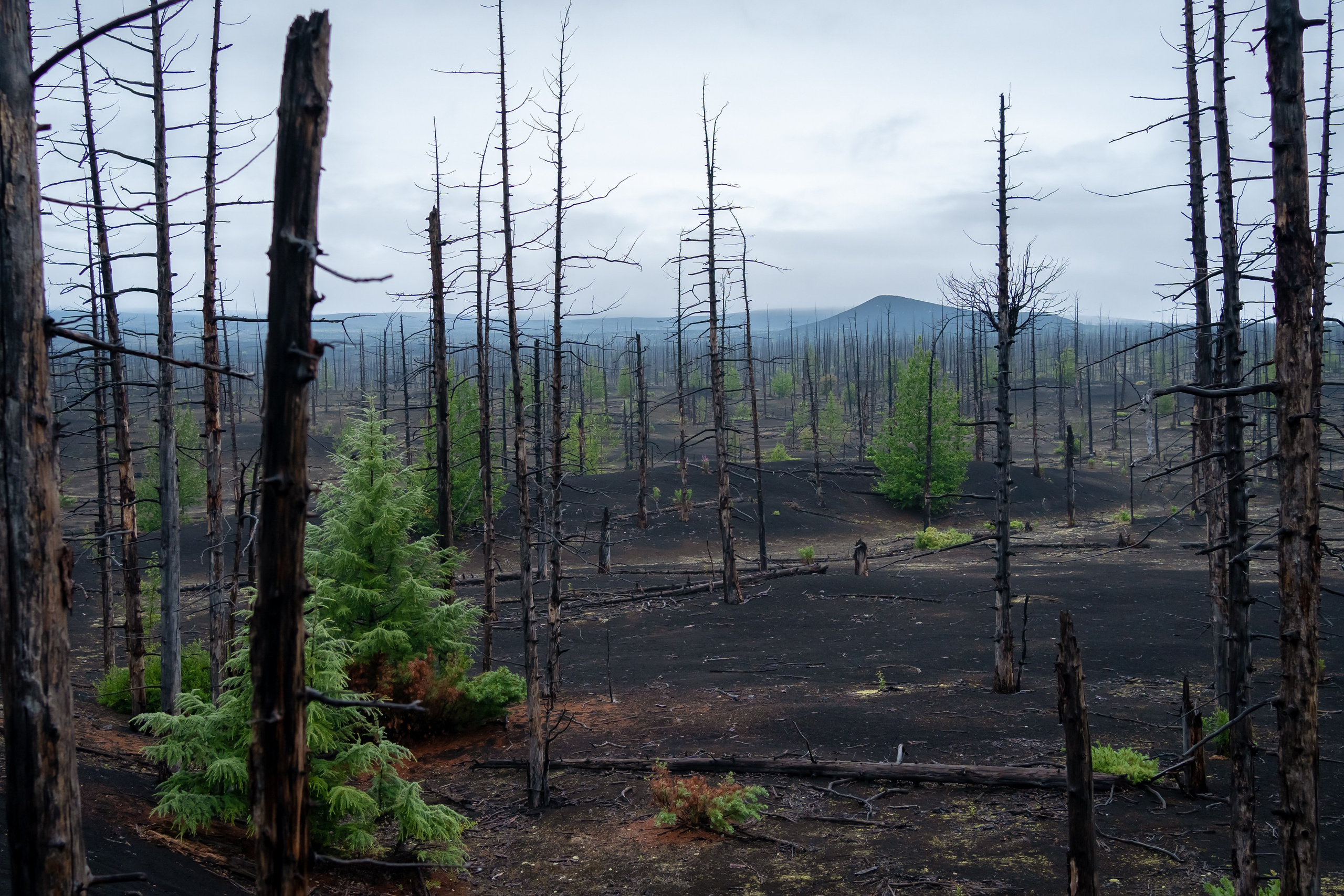 Камчатка. Семейный фотограф Варвара Сорока в городе Москве