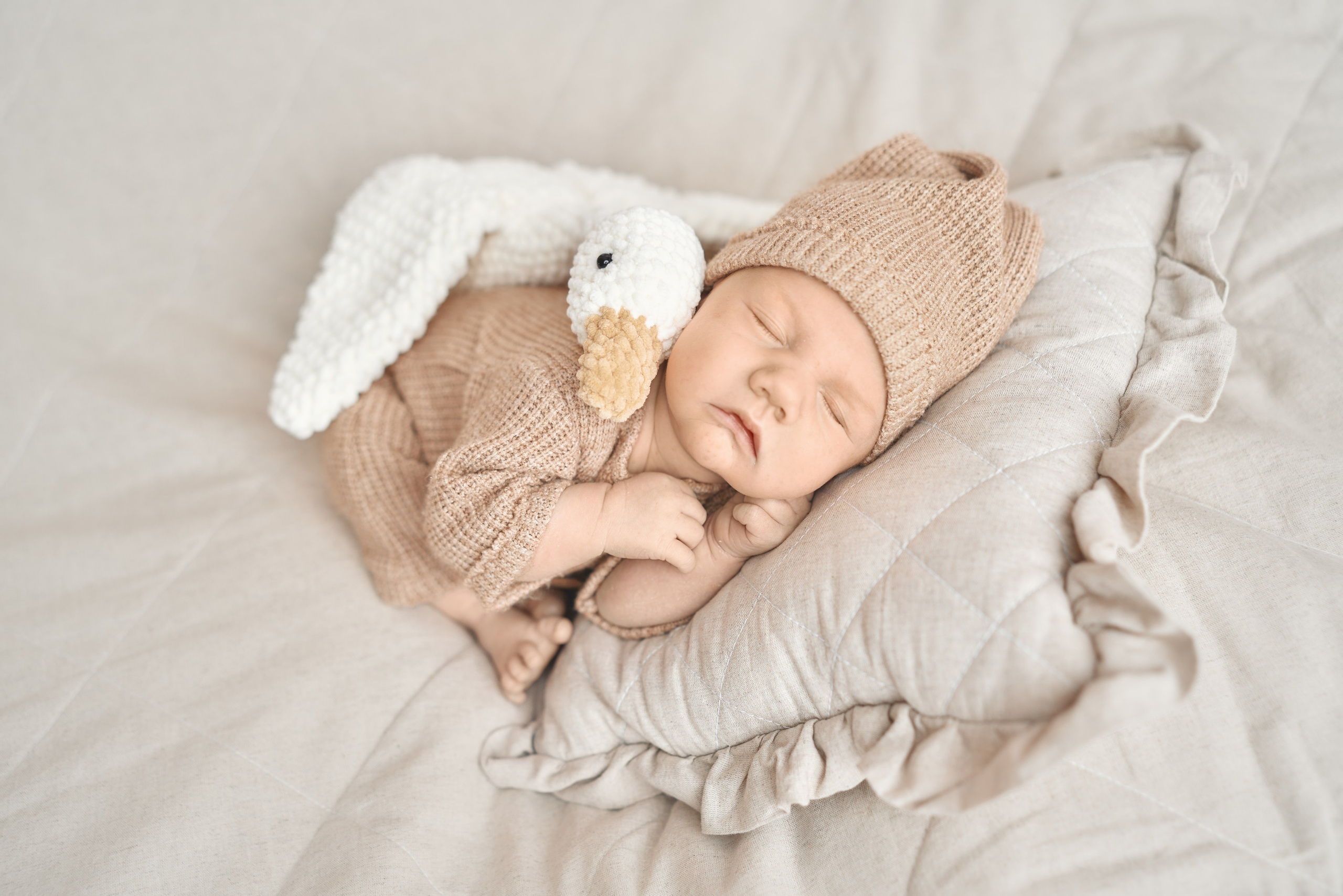 Ярослав. Фотограф новорожденных во Владивостоке Ромашко Виктория