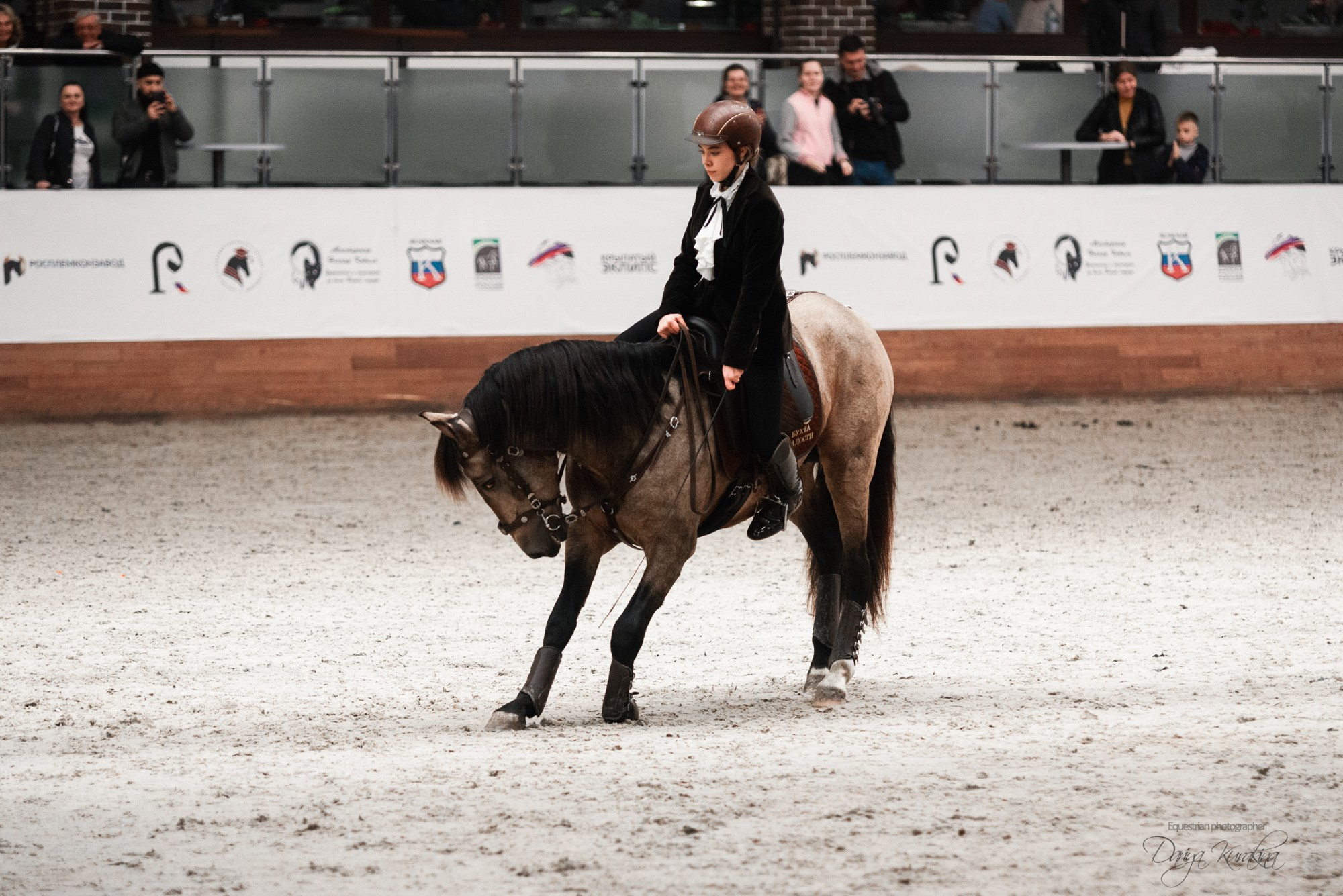 8-я международная выставка Конная Россия. Конный фотограф Куракина Дарья • Фотосессии с лошадьми