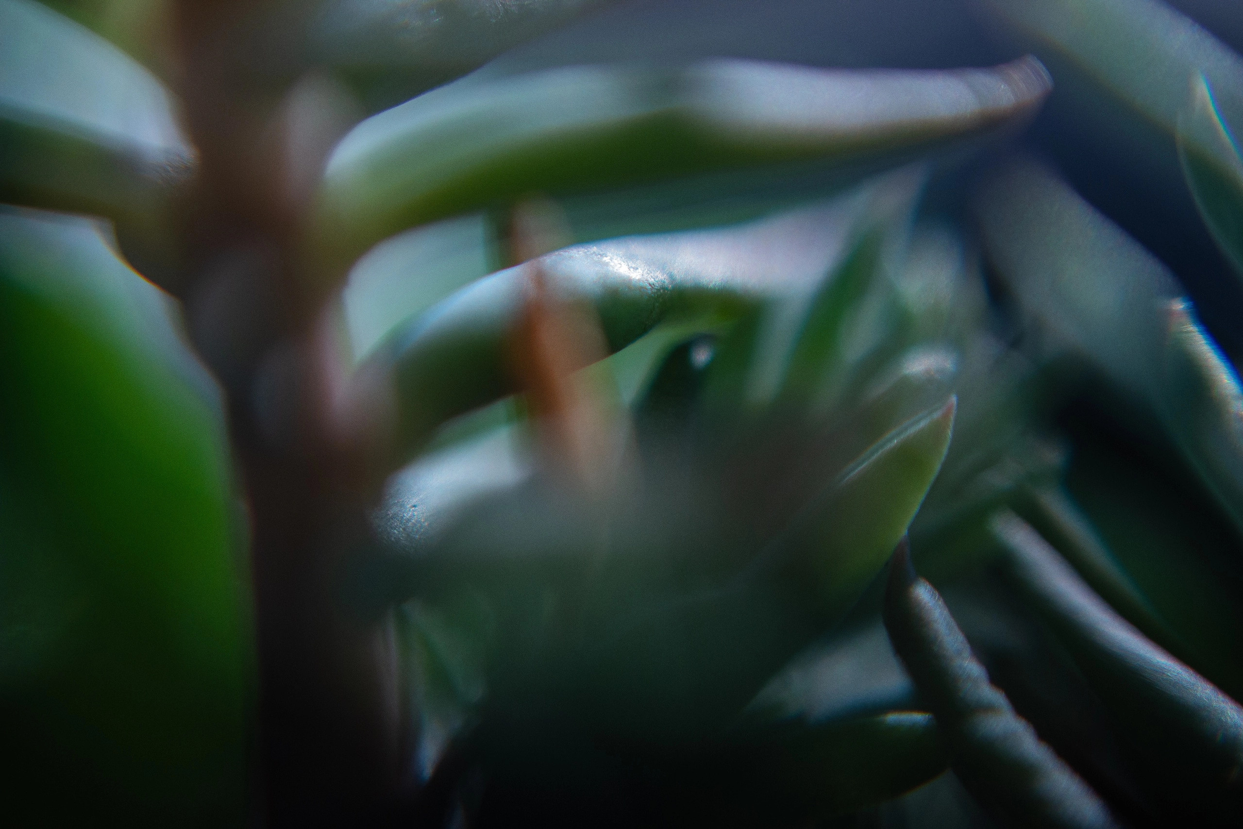 Другое. Jorgis Talè — photographer, kind person, teacher of arts and other mag