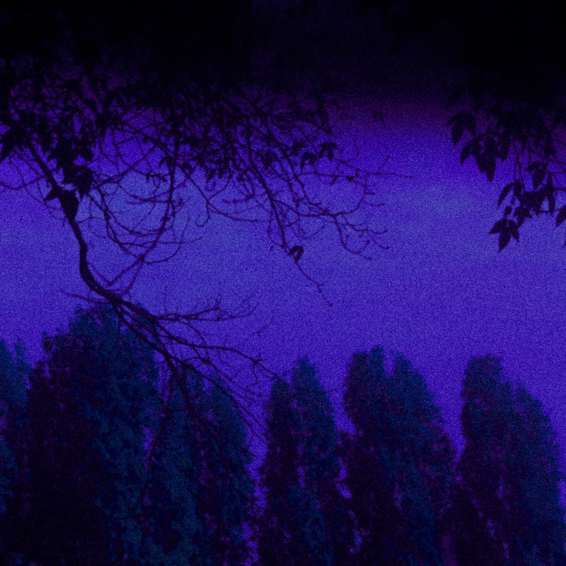 Ученики. Jorgis — фотограф в Хургаде / обучение фотографии