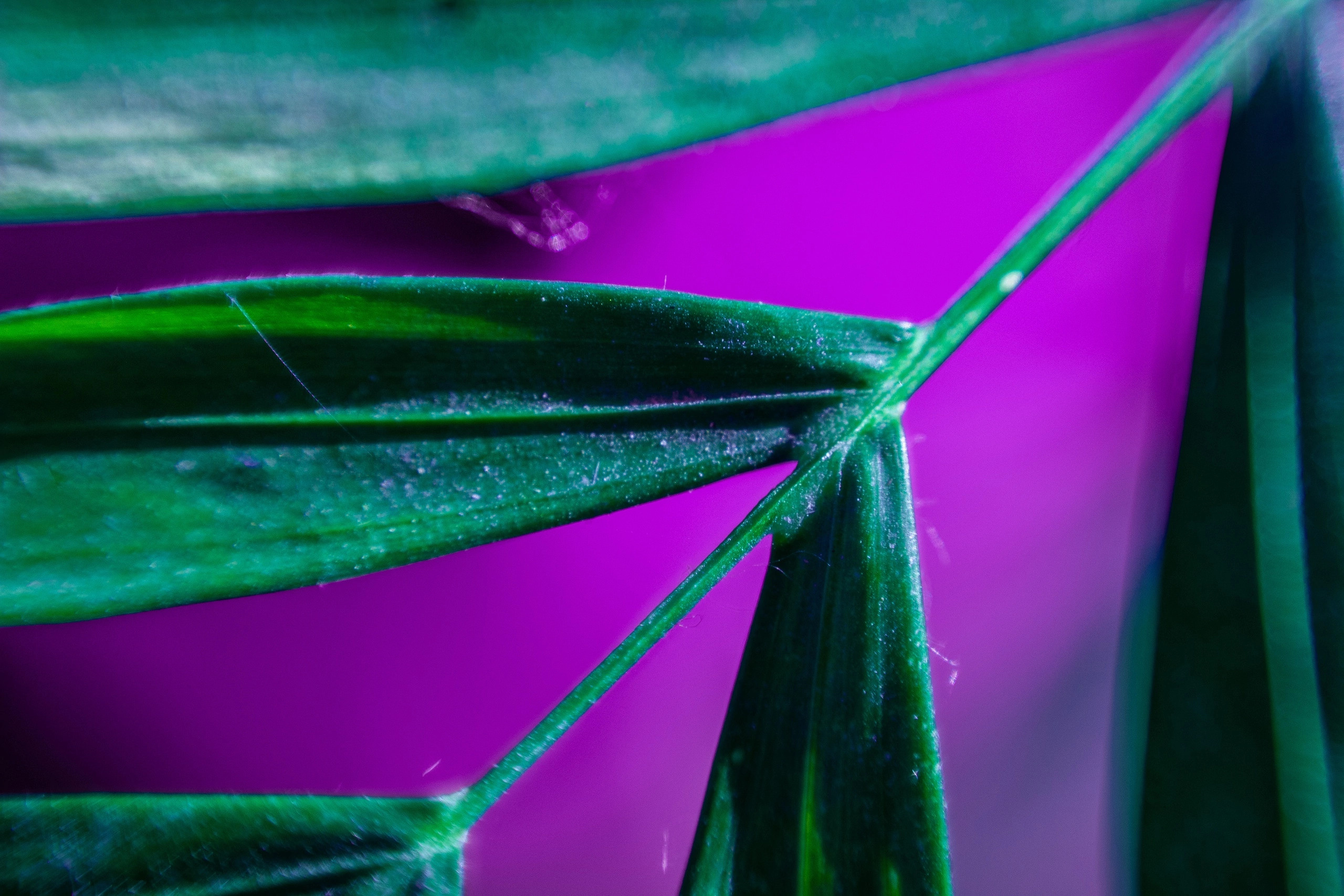 Другое. Jorgis Talè — photographer, kind person, teacher of arts and other mag