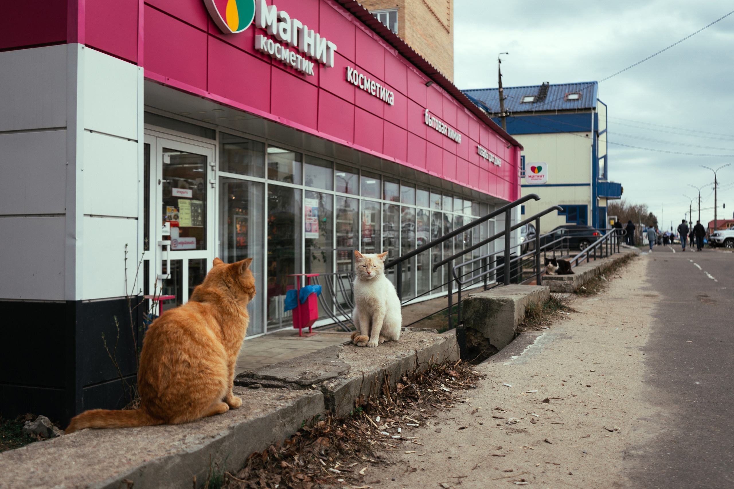 Ученики. Jorgis — фотограф в Хургаде / обучение фотографии