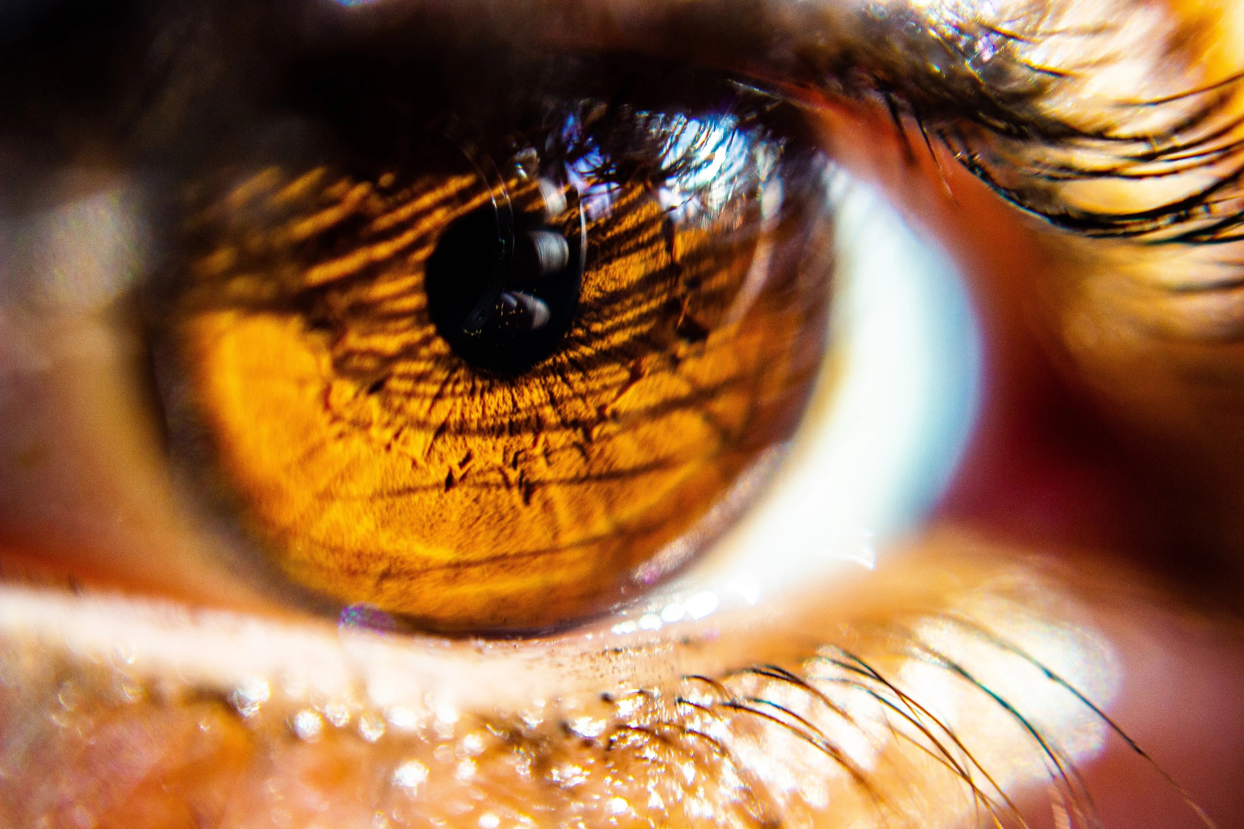 Другое. Jorgis Talè — photographer, kind person, teacher of arts and other mag