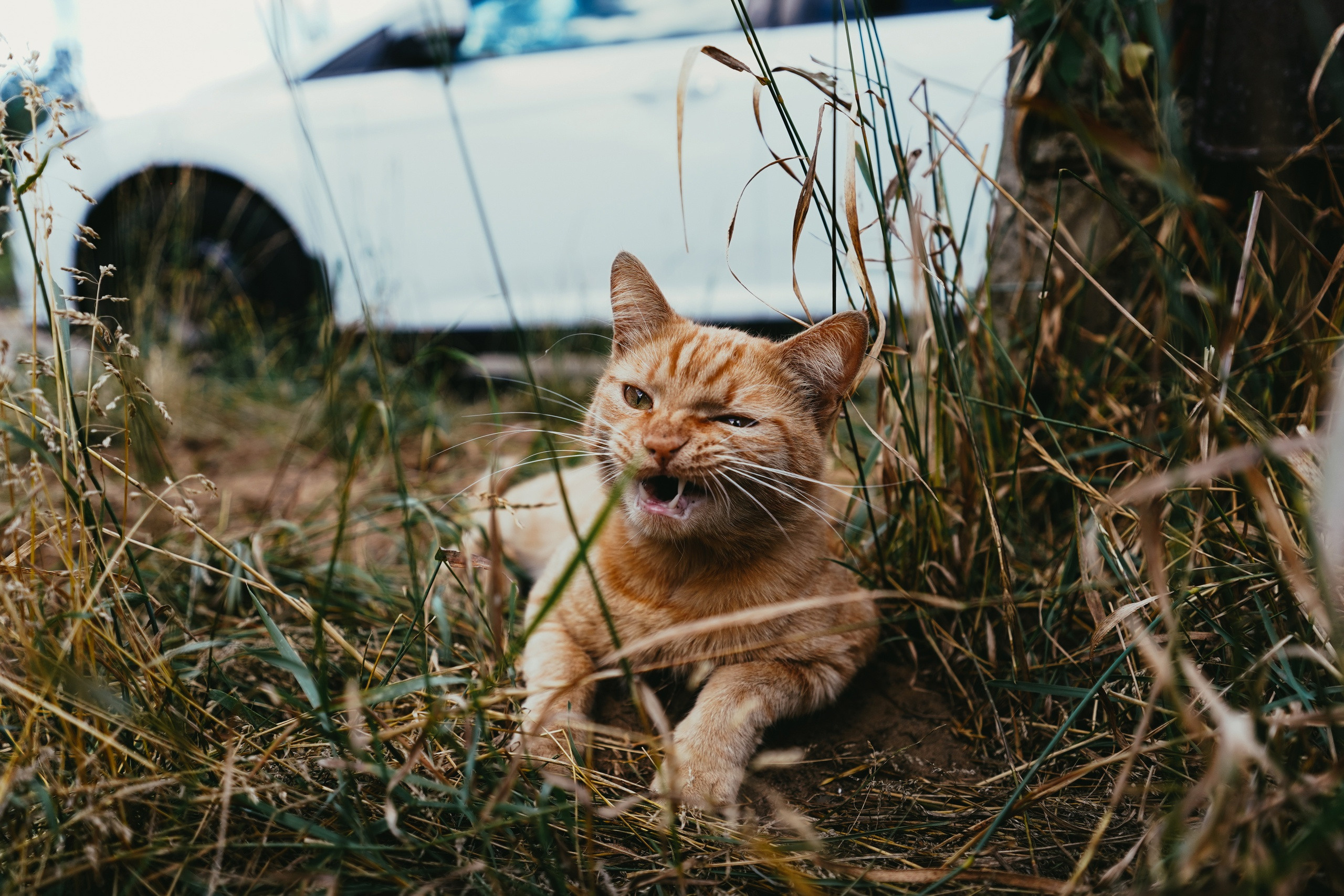 Ученики. Jorgis — фотограф в Хургаде / обучение фотографии