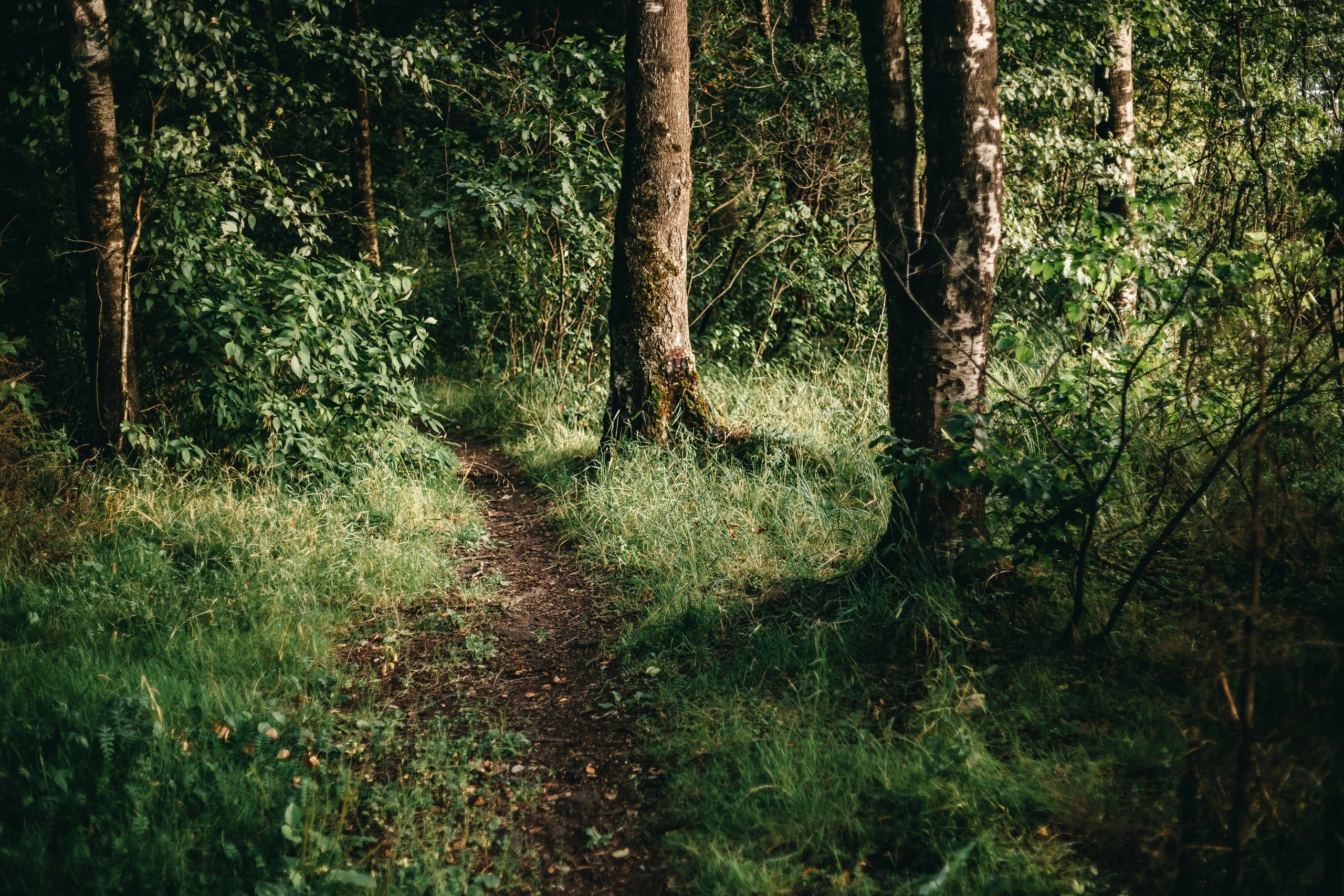 Улица горизонтальная. Jorgis — фотограф в Хургаде / обучение фотографии