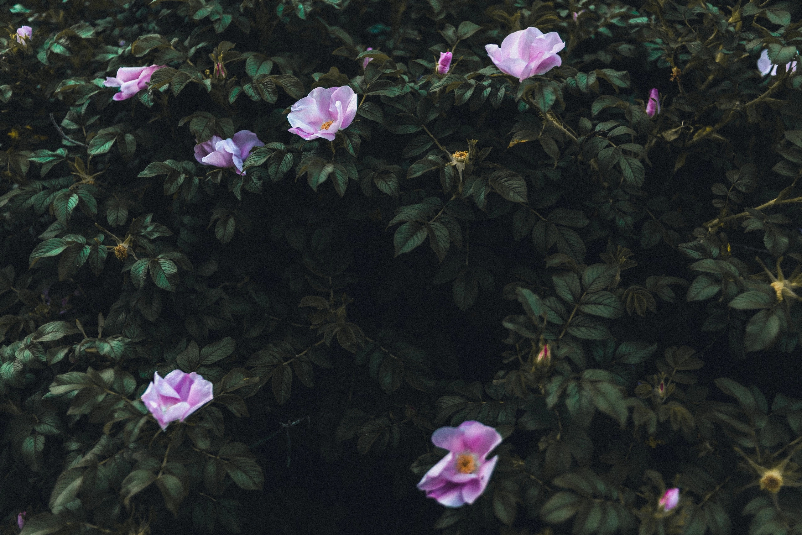 Улица горизонтальная. Jorgis — фотограф в Хургаде / обучение фотографии