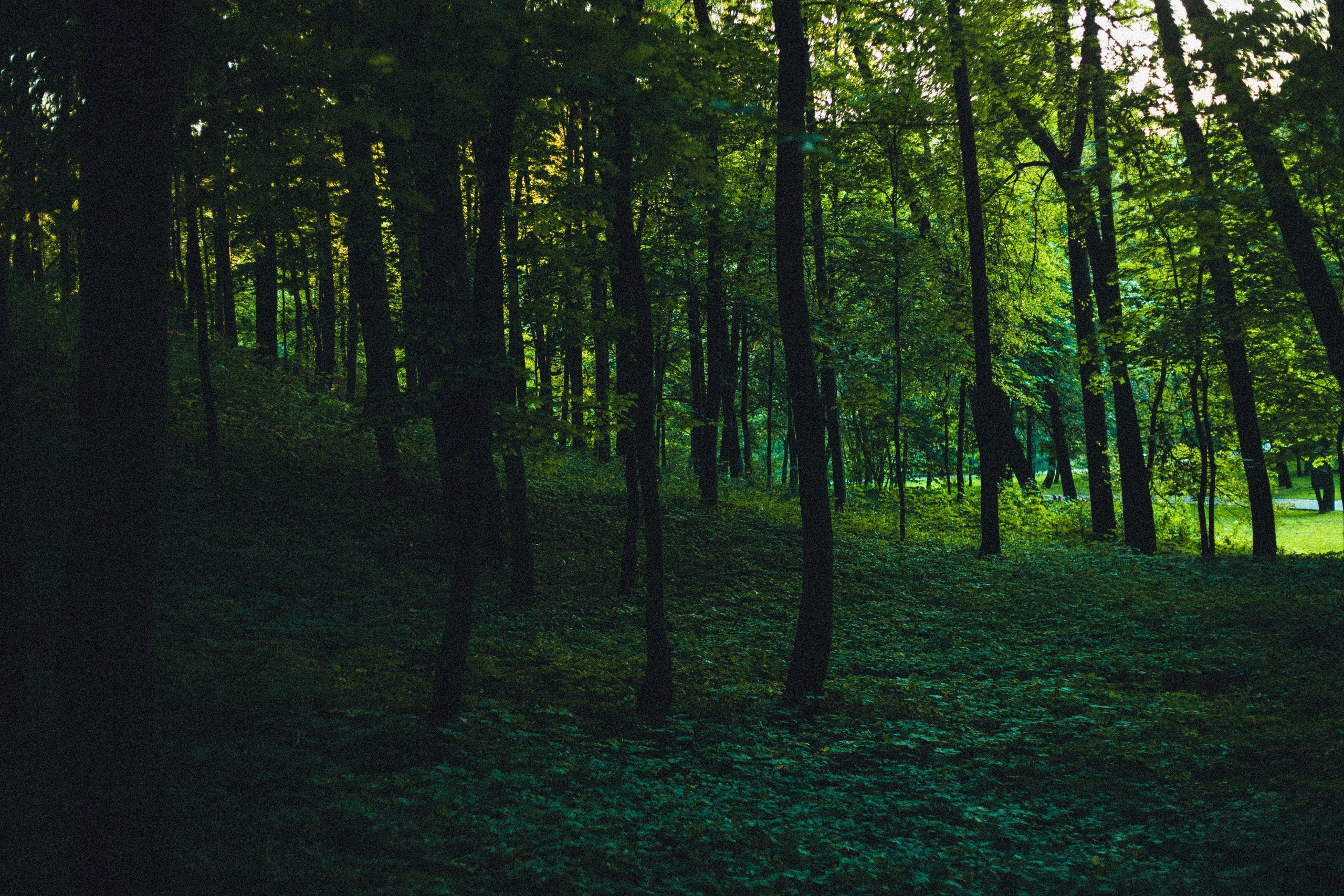 Улица горизонтальная. Jorgis — фотограф в Хургаде / обучение фотографии