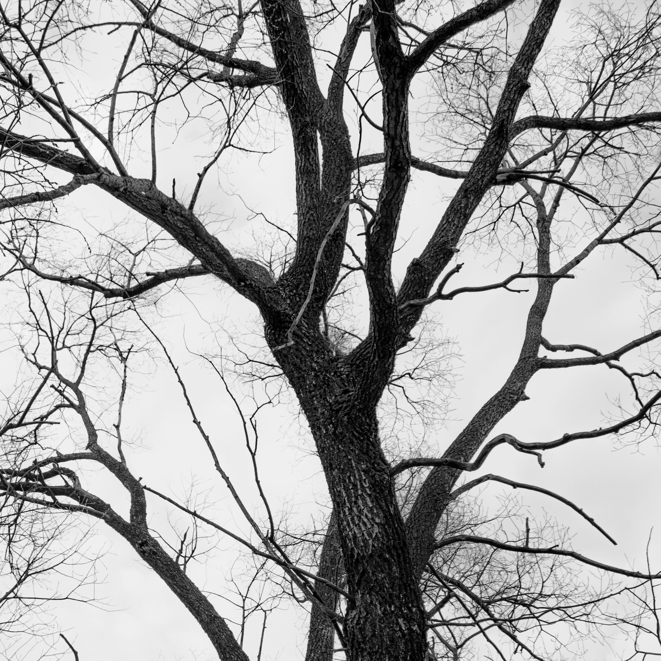 Ученики. Jorgis — фотограф в Хургаде / обучение фотографии