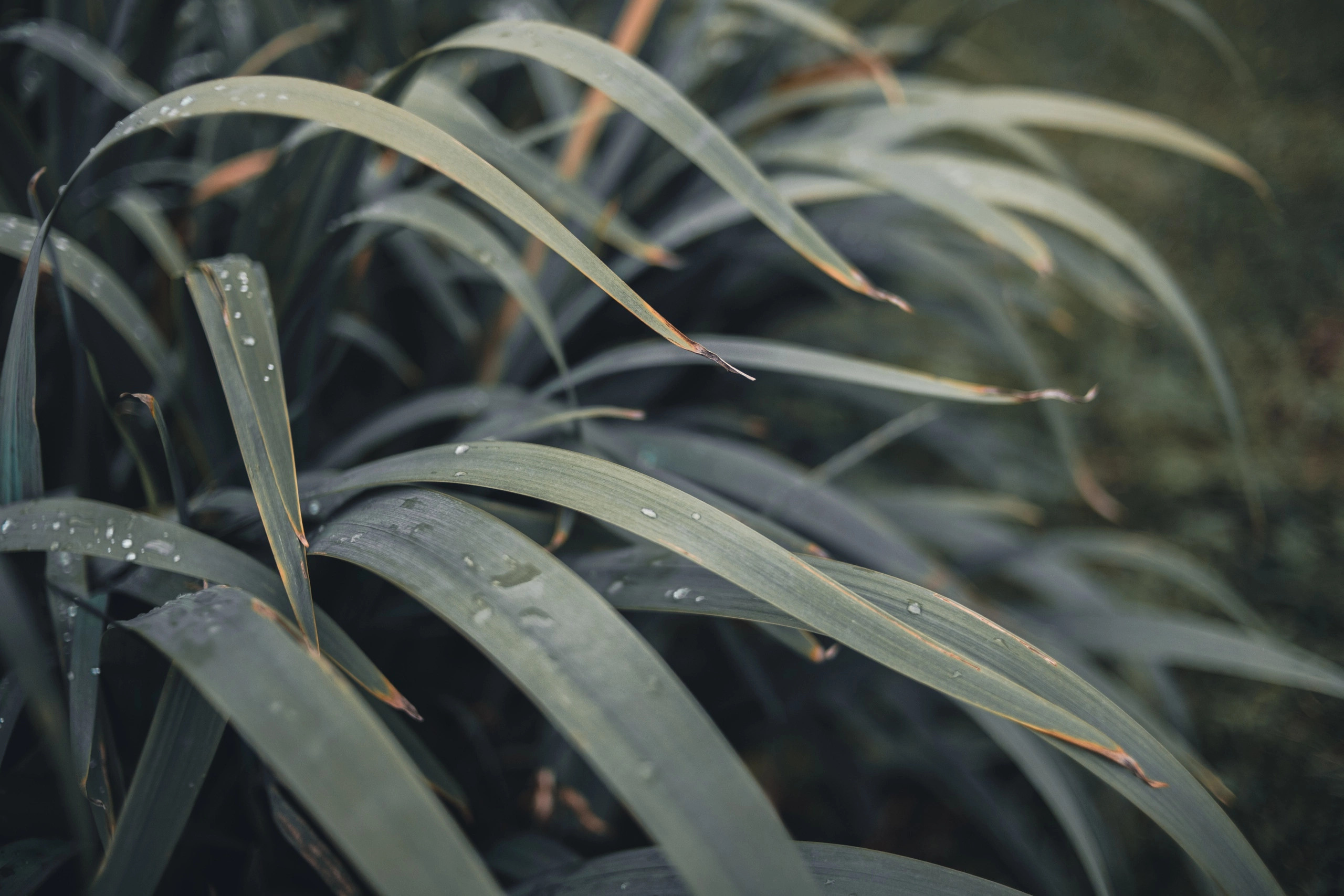 Улица горизонтальная. Jorgis — фотограф в Хургаде / обучение фотографии