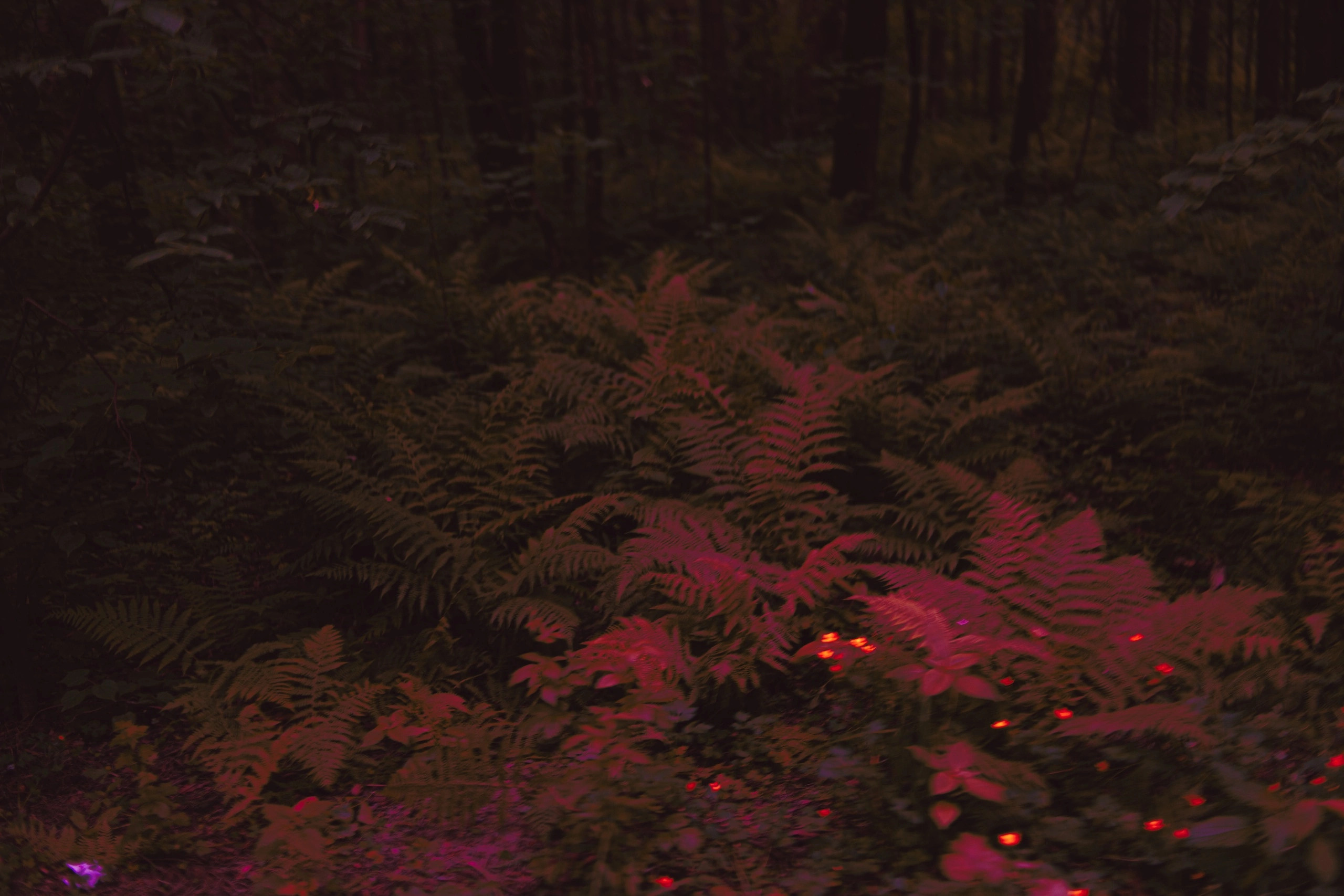 Улица горизонтальная. Jorgis — фотограф в Хургаде / обучение фотографии