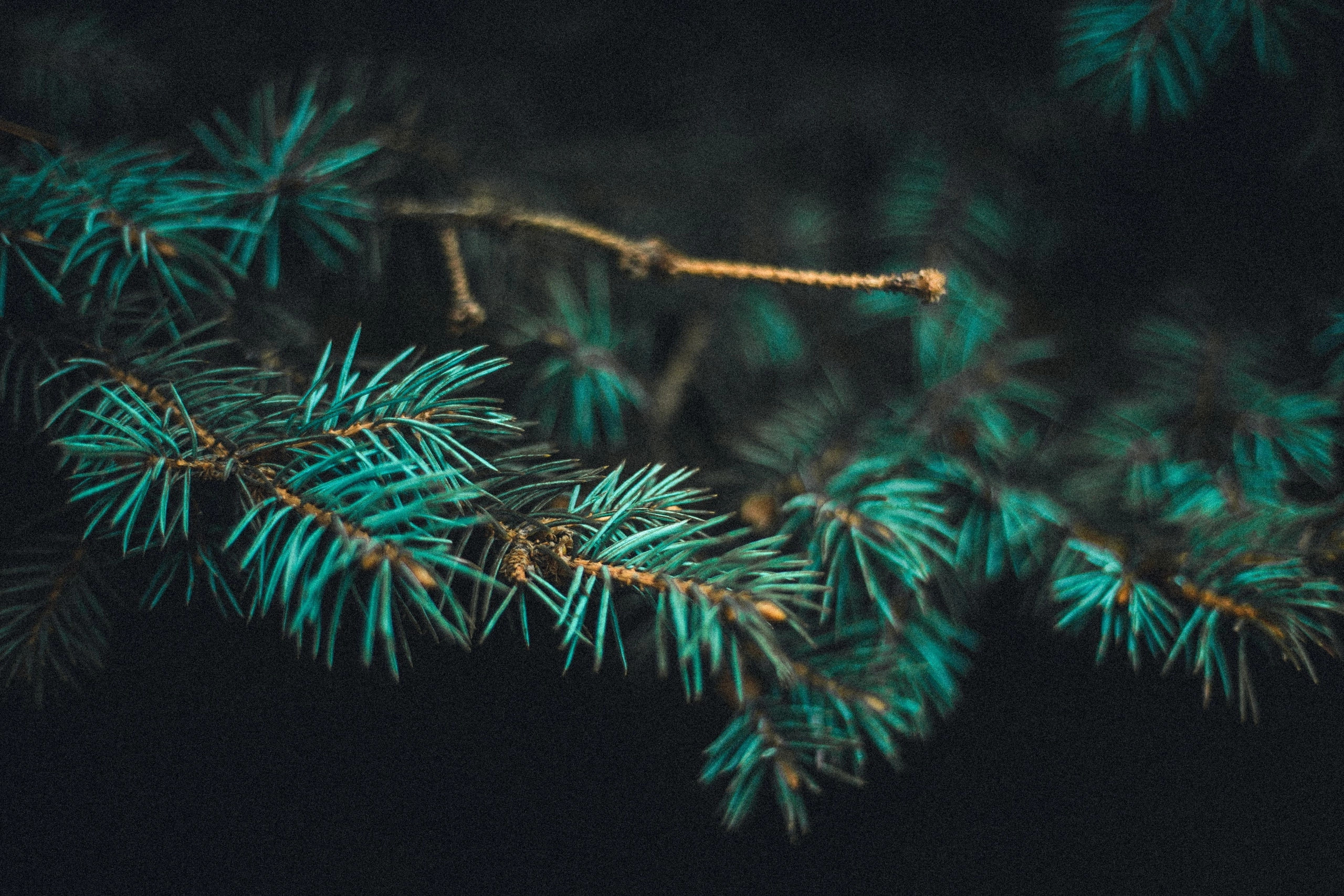 Улица горизонтальная. Jorgis — фотограф в Хургаде / обучение фотографии