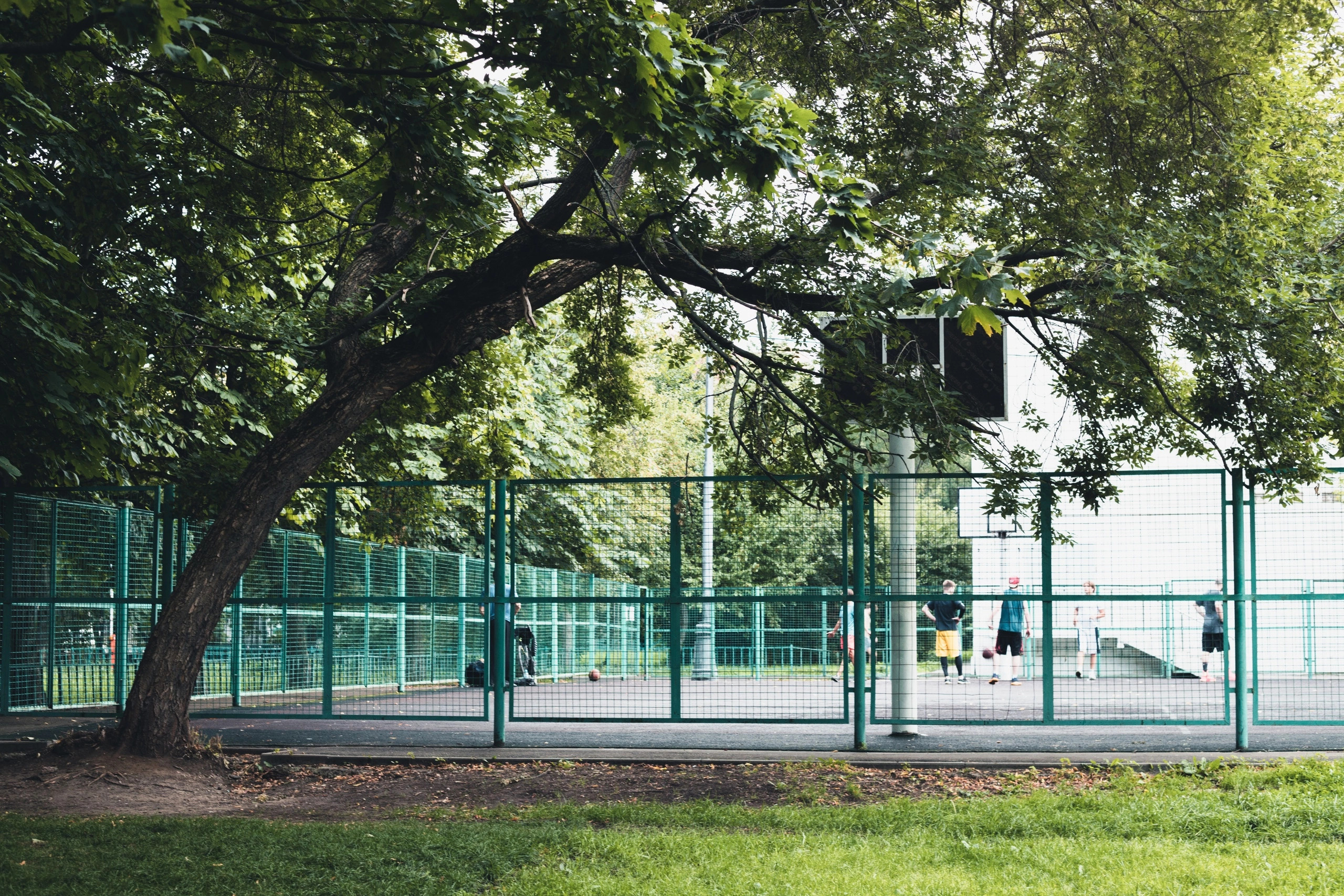 Улица горизонтальная. Jorgis — фотограф в Хургаде / обучение фотографии