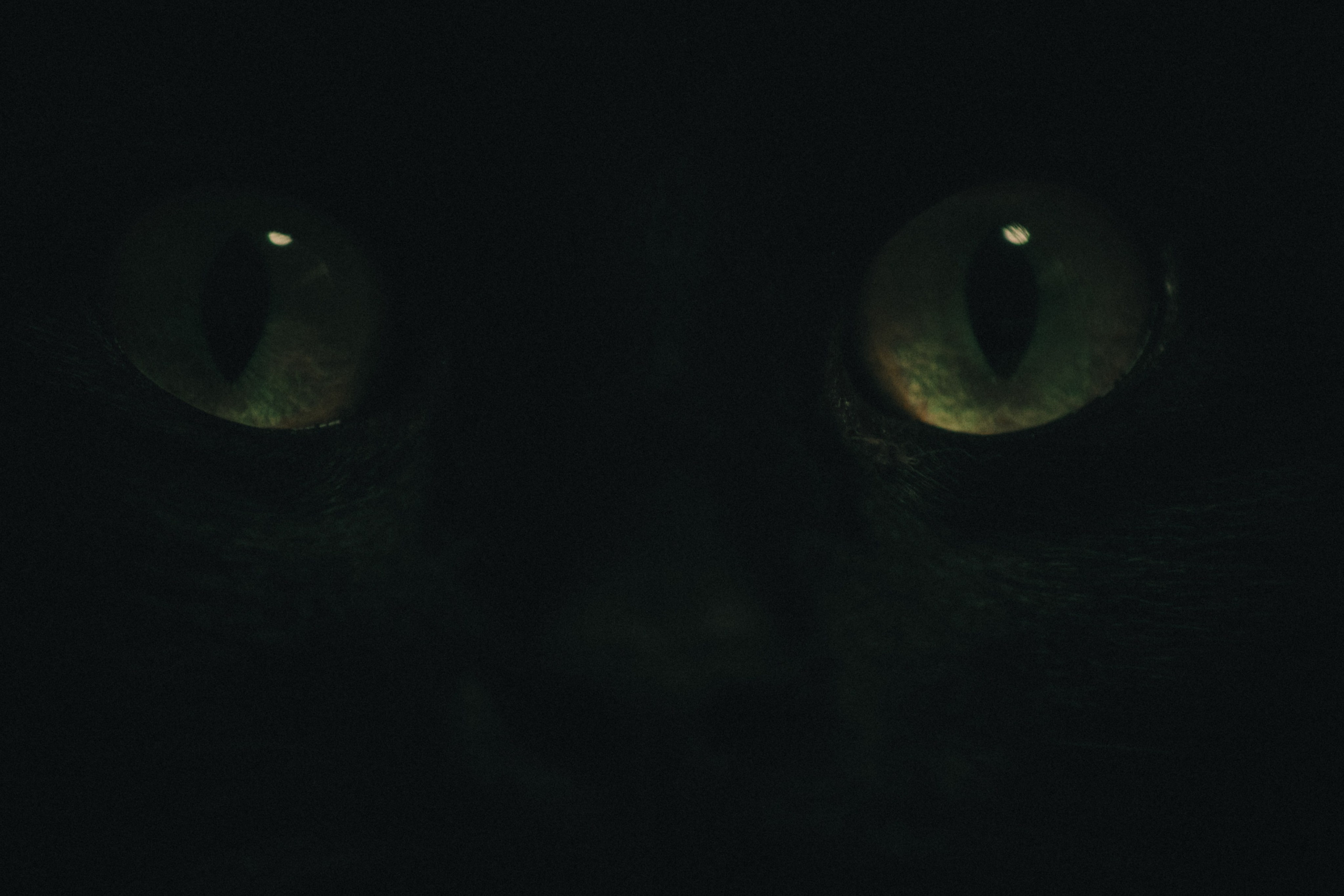 Л Ю Ц И Ф Е Р. — Digital Noise —