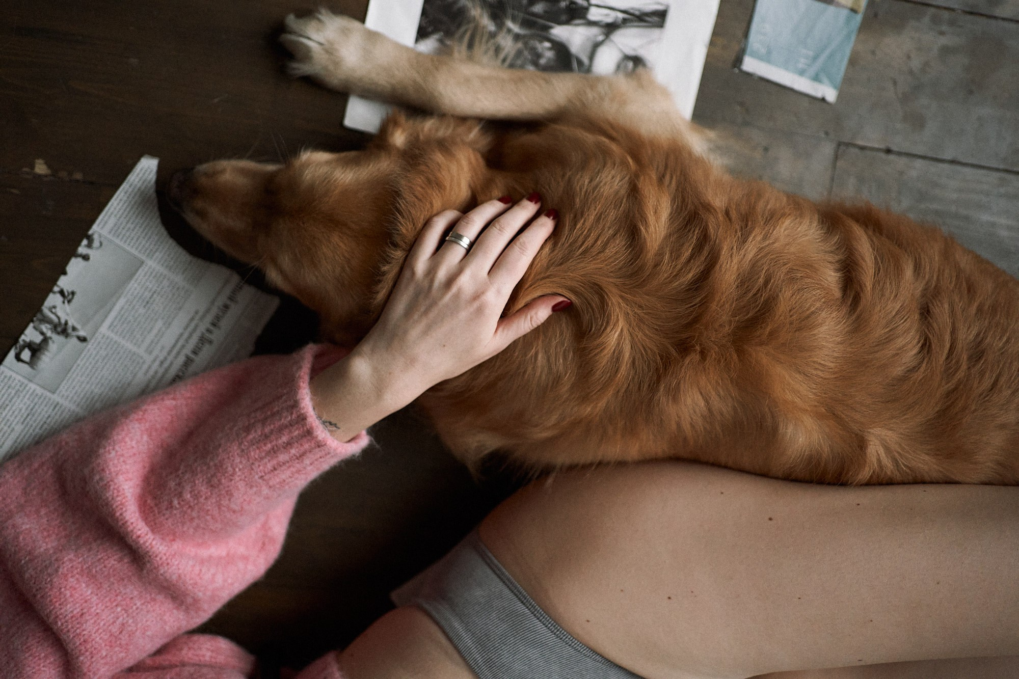 Алия и Пенни. Фотограф анималист Москва Дарья