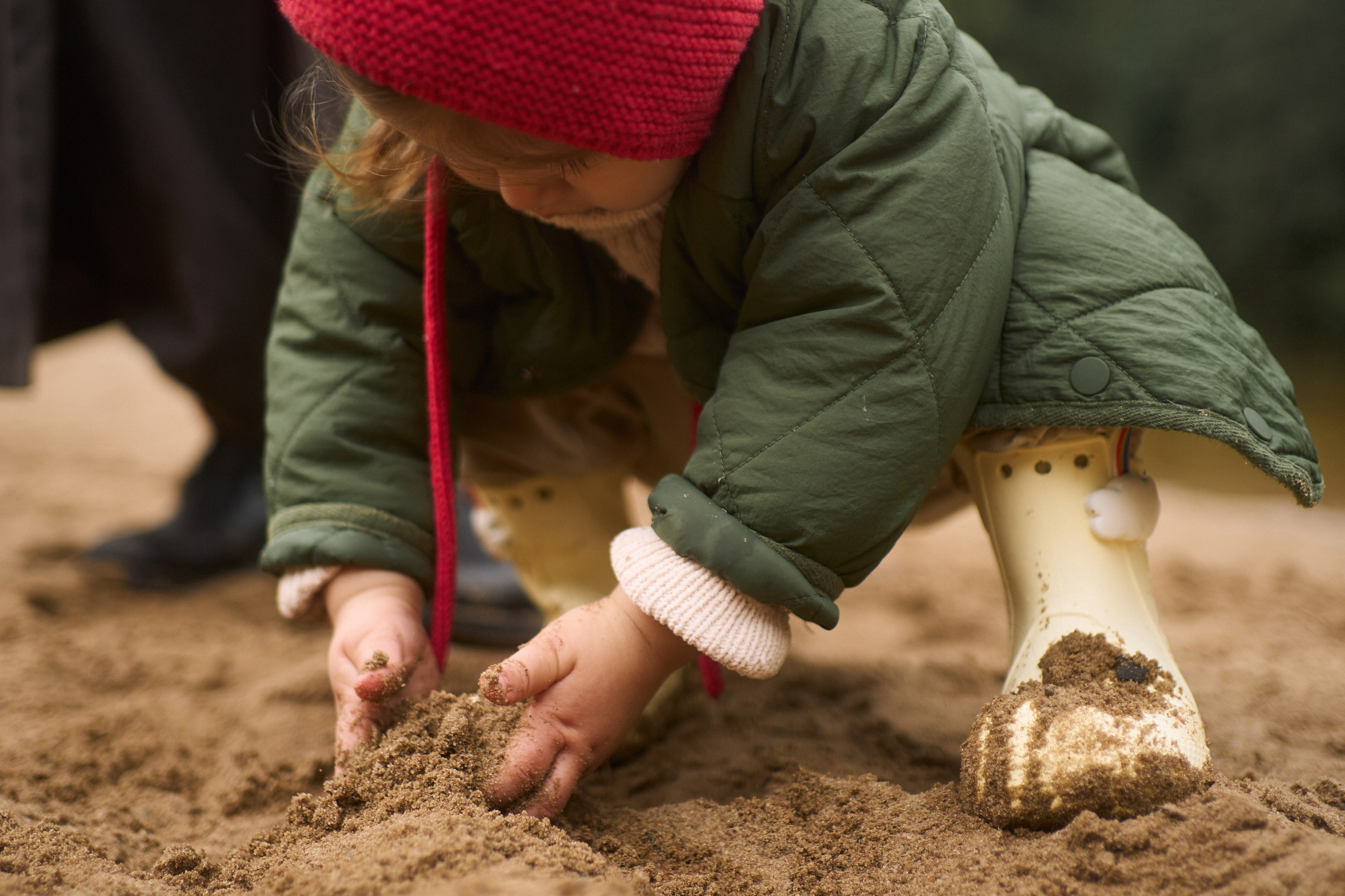 Печенье в песке. Фотограф анималист Москва Дарья