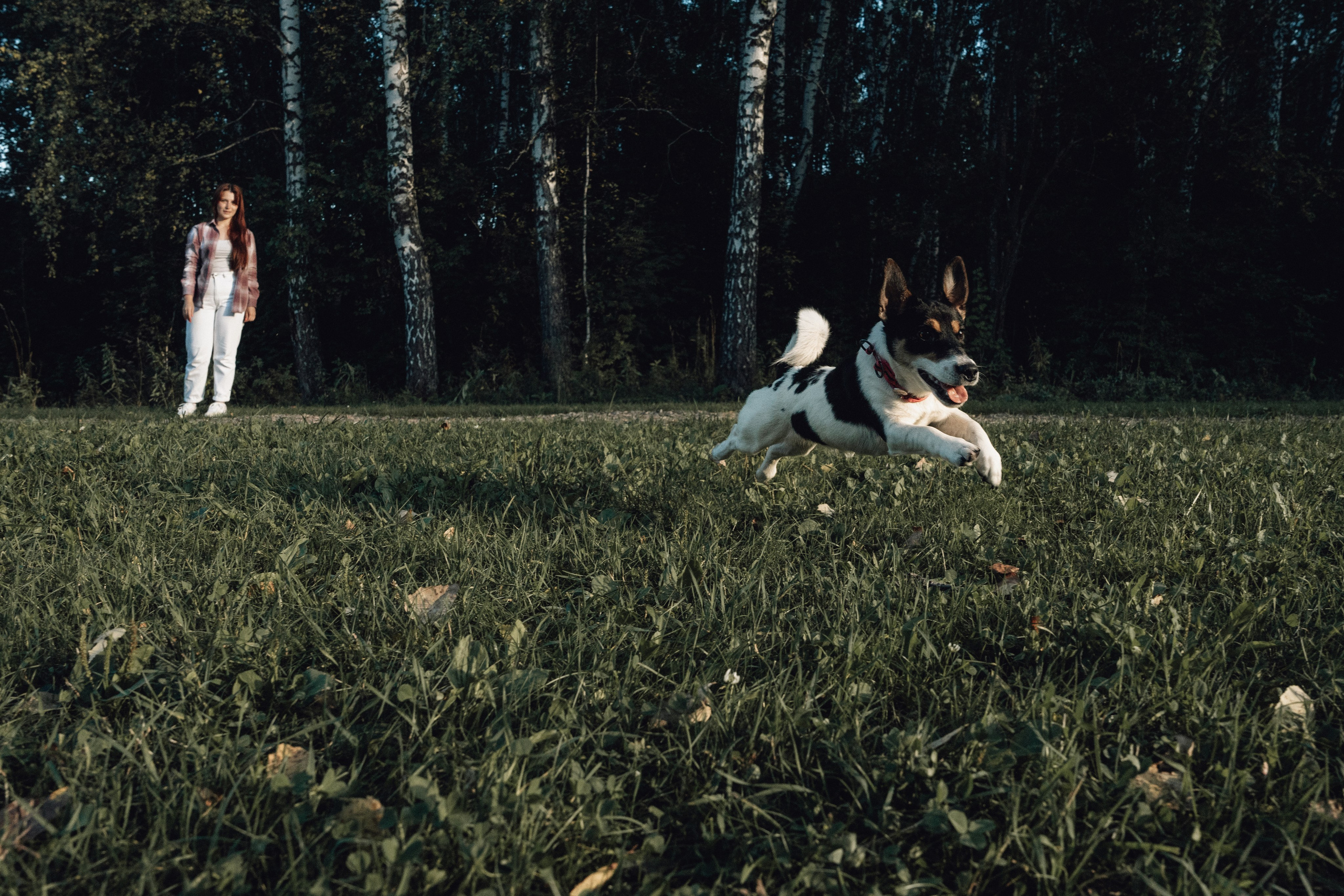 Аня и Луна. Фотограф и видеограф в Тюмени Екатерина Чернецкая