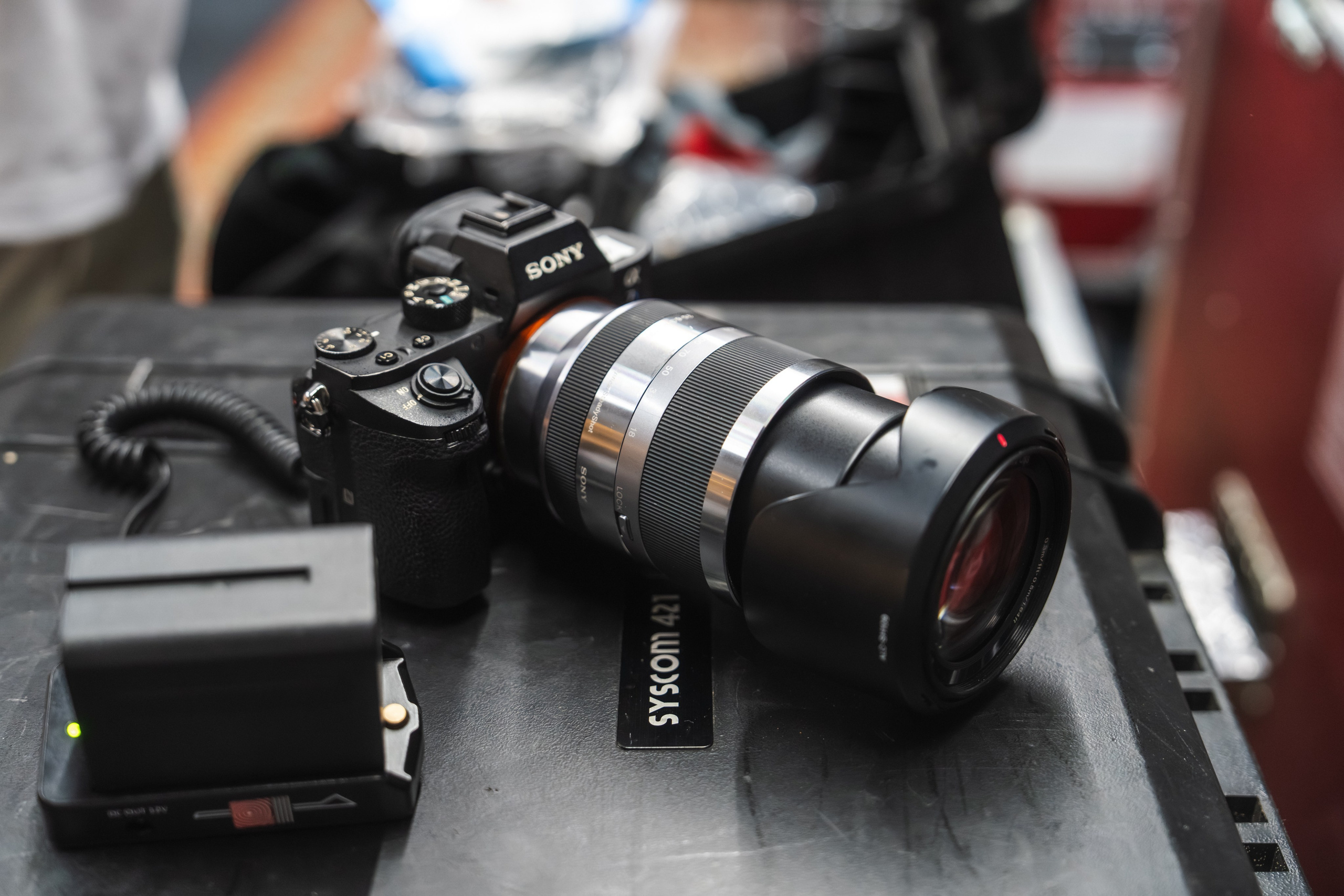 БЕЛАЯ 2025. Святослав Буньков | фотограф