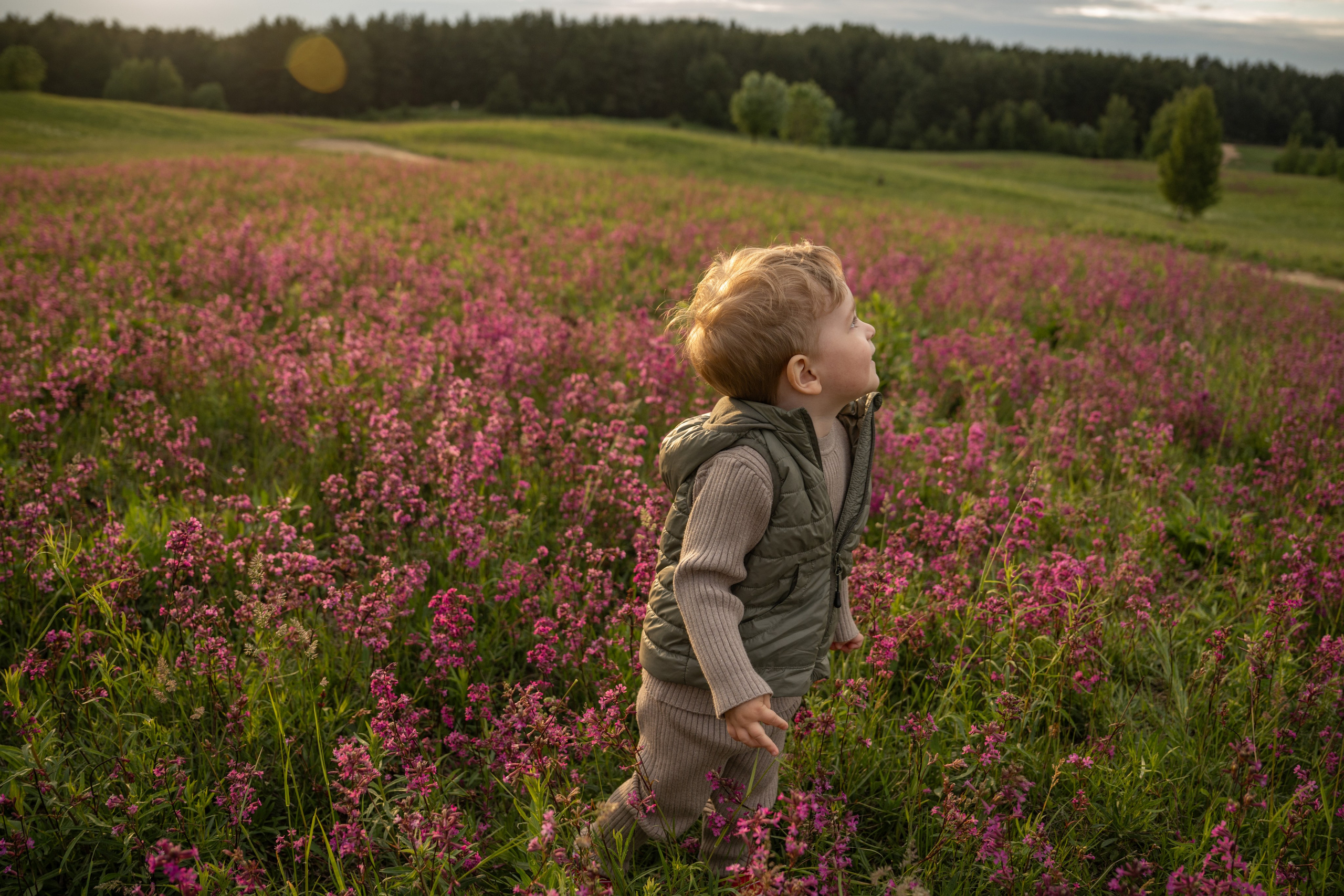 Прогулка на Колтушских высотах. Детский и семейный фотограф в Санкт-Петербурге и Ярославле Павлова Гал