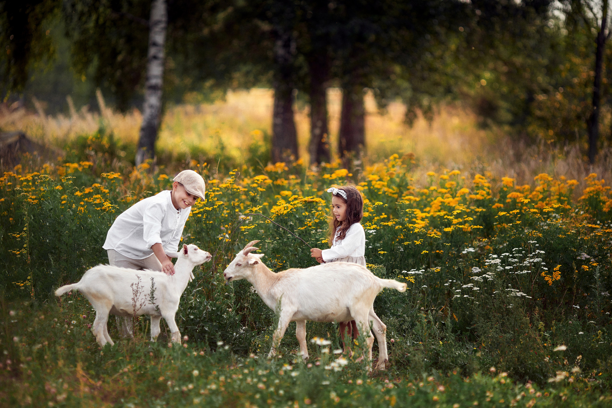 Артем и Катя.Козья ферма. Свадебный и семейный фотограф Игорь Елагин