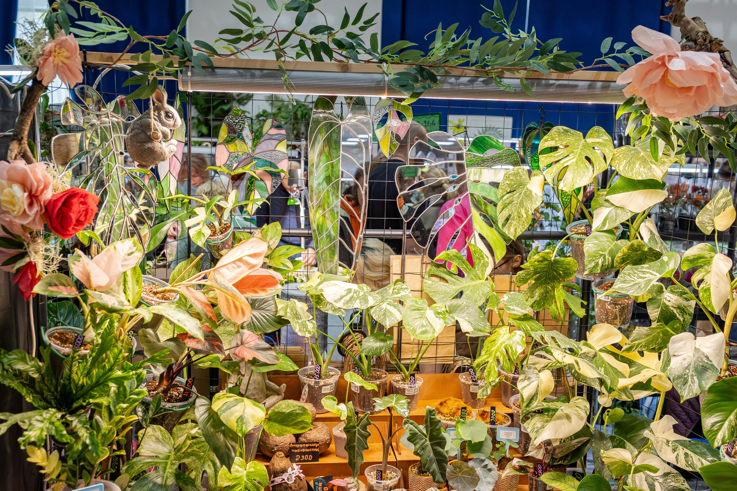 Монстериум апрель 2026. Александра Куликова фотограф, Москва