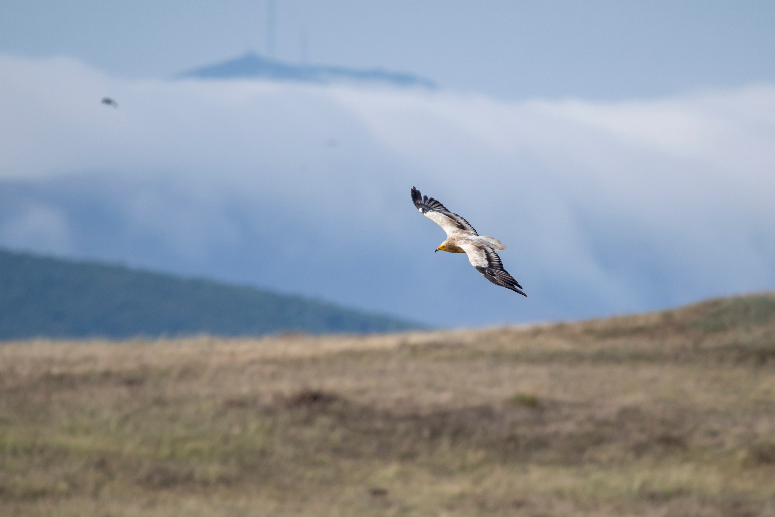 Природа Дагестана, сентябрь 2024. Foto-Zuev фотография как искусство