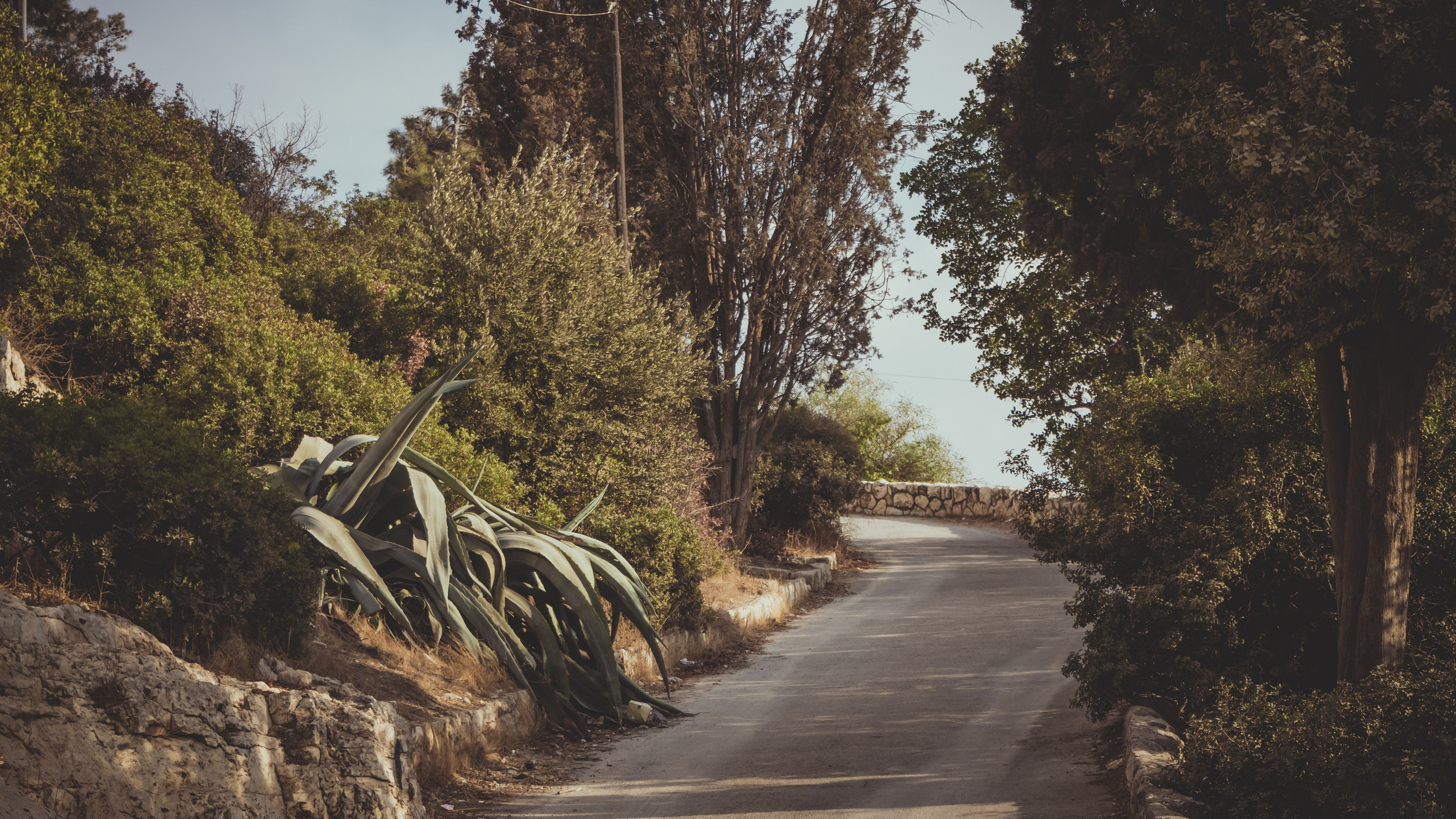 Израиль. Свадебный фотограф Копков Геннадий